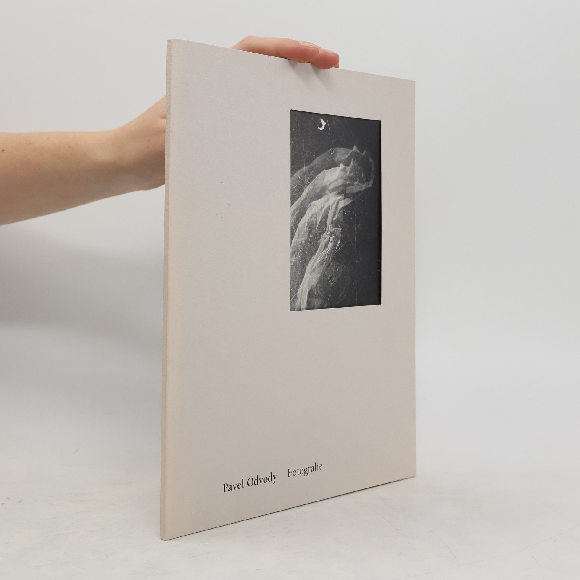 Pavel Odvody Pavel Odvody