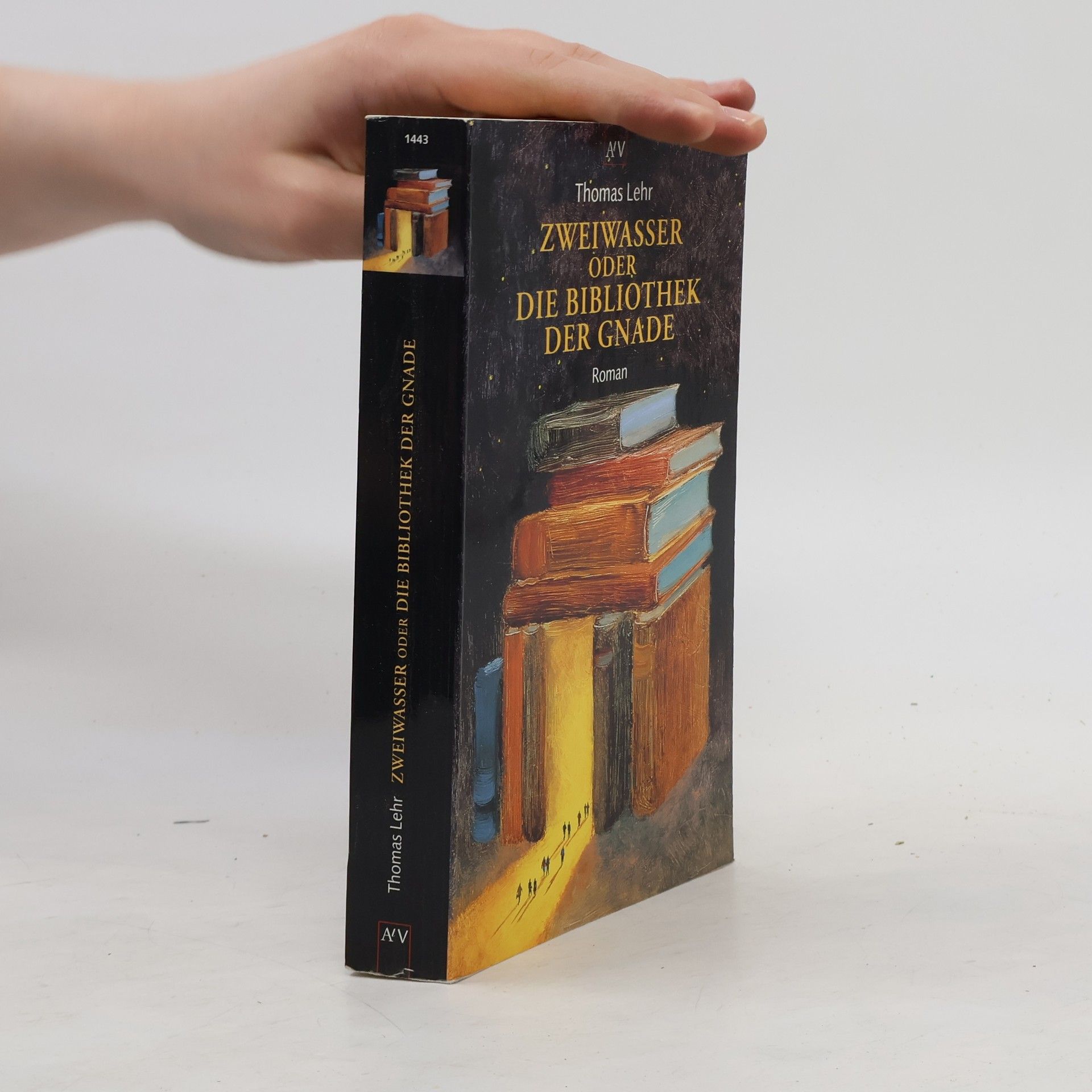 Thomas Lehr Zweiwasser oder die Bibliothek der Gnade