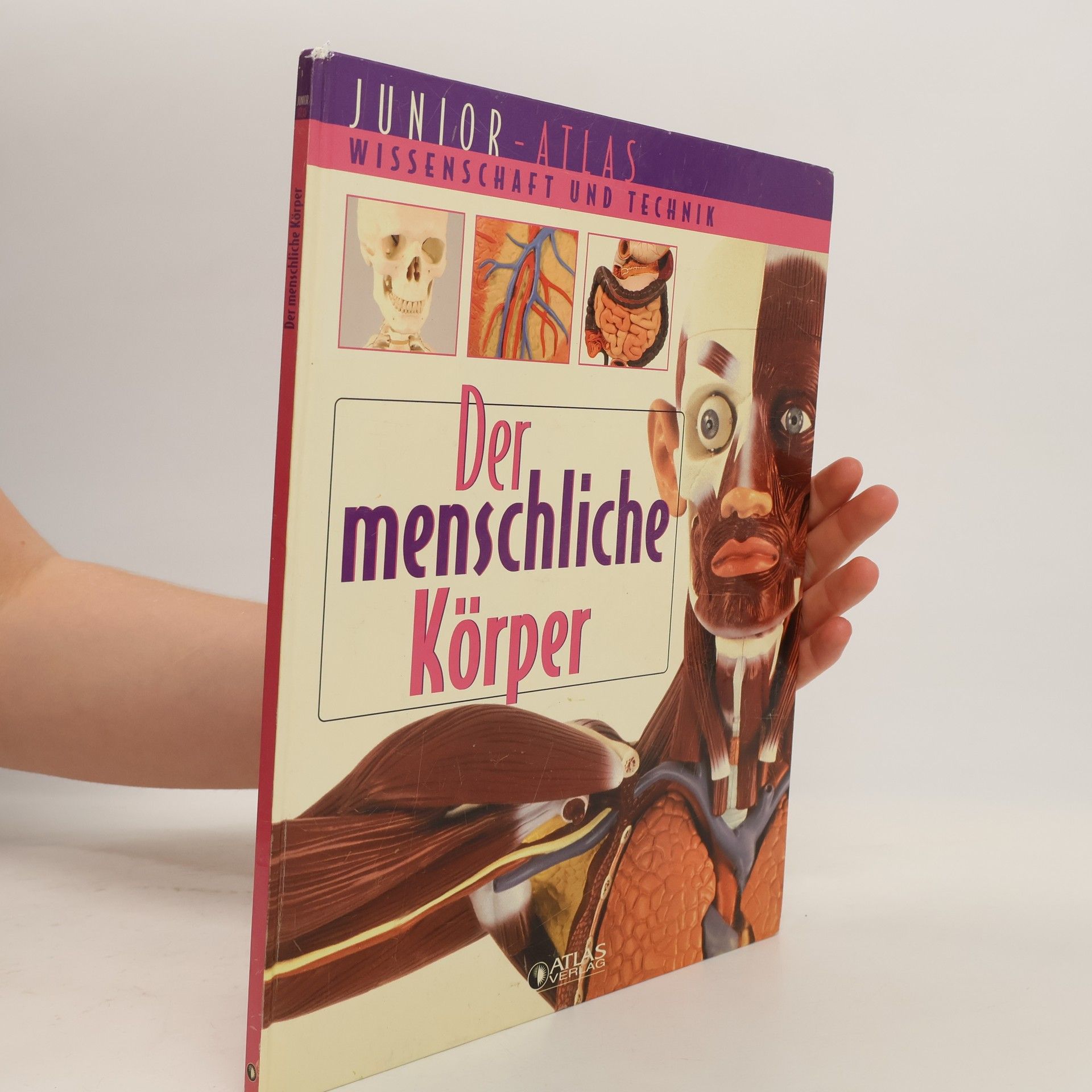 kolektiv Der menschliche Körper