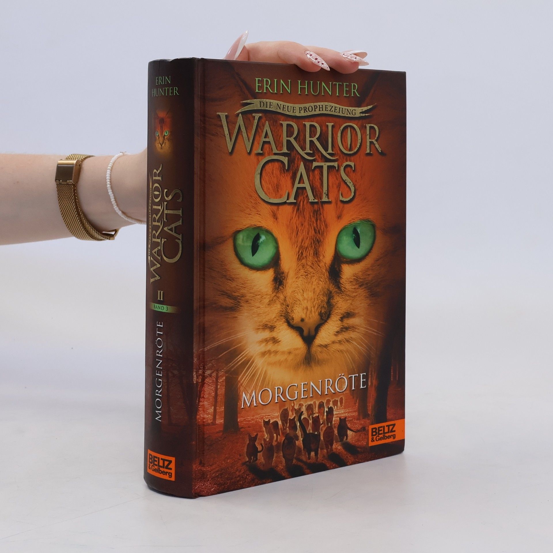 Erin Hunter Warrior Cats - Morgenröte