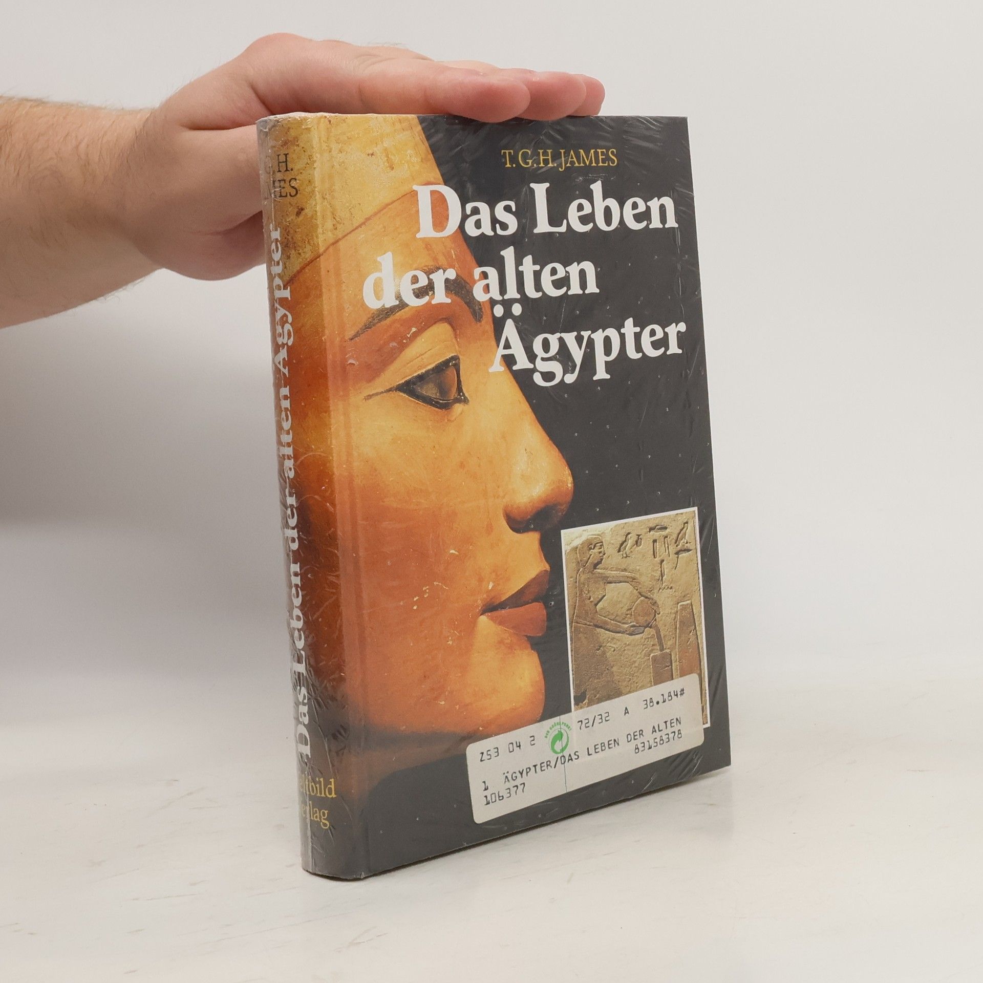 Thomas Garnet Henry James Das Leben der alten Ägypter