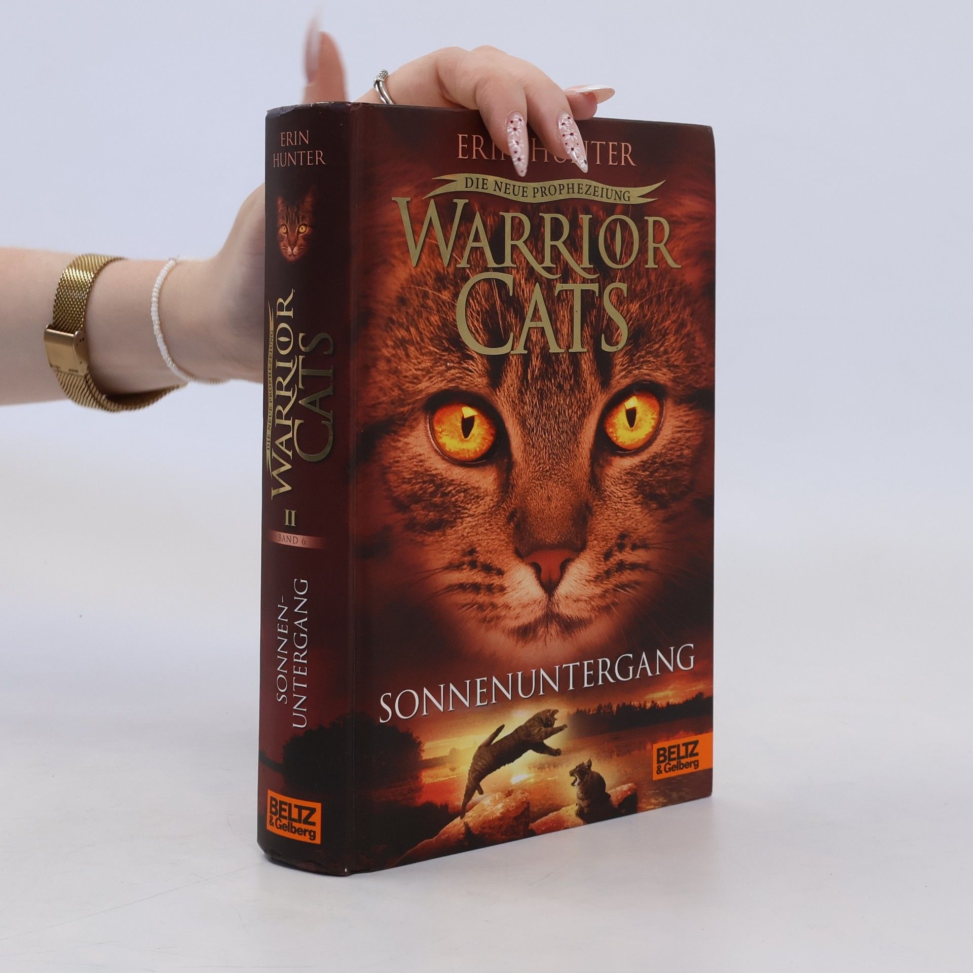 Erin Hunter Warrior Cats: Die neue Prophezeiung. Sonnenuntergang: II,6