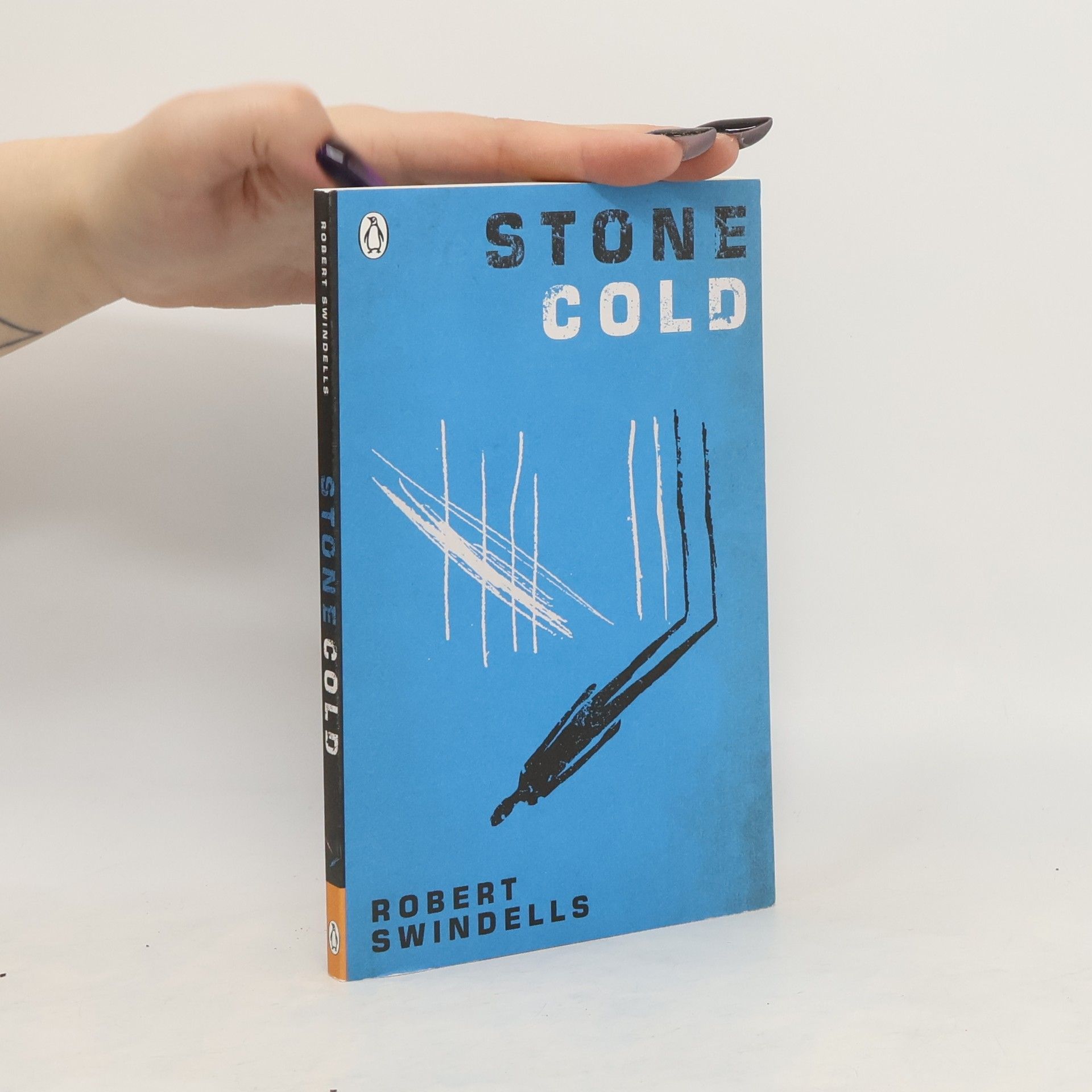 Robert E. Swindells Stone Cold