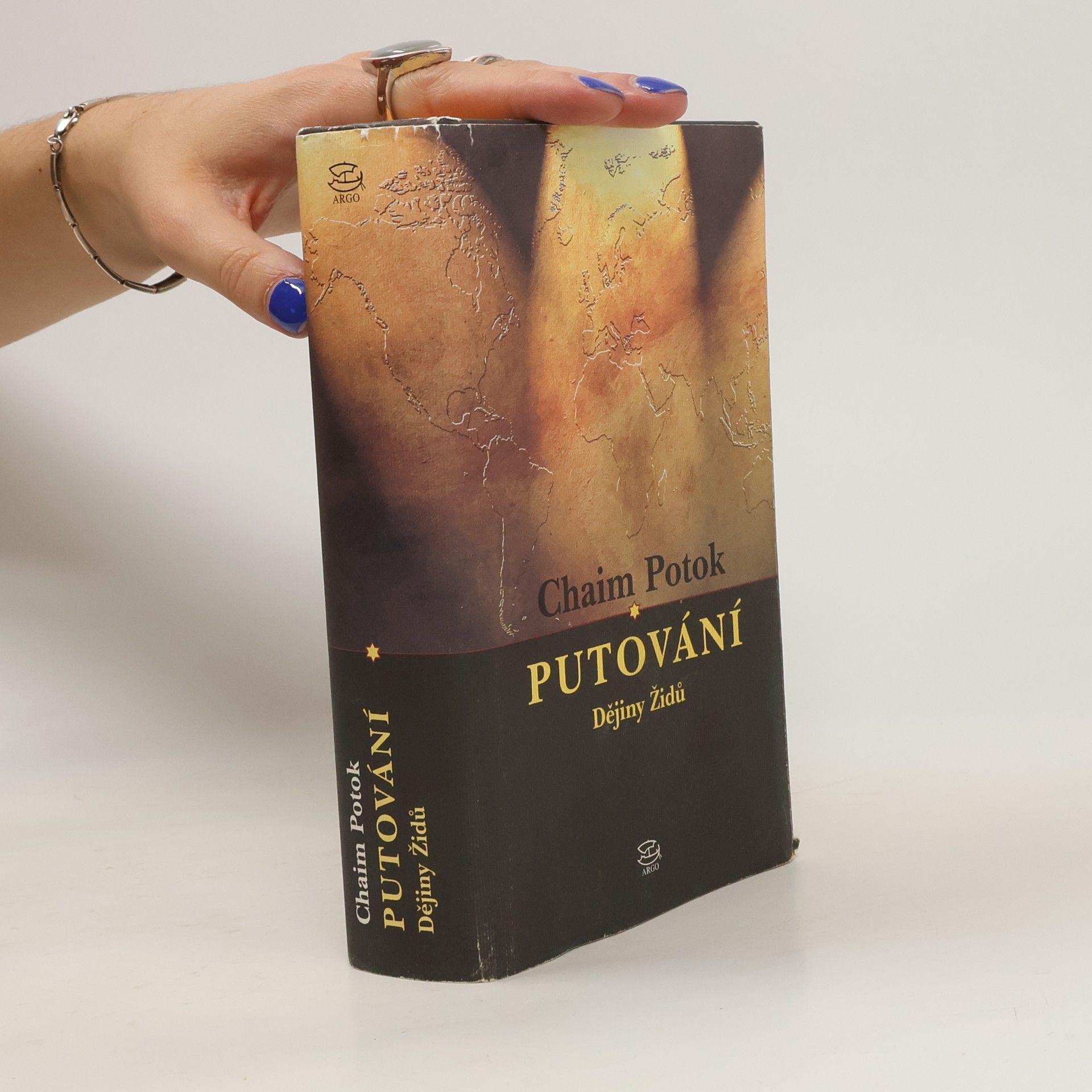 Chaim Potok Putování : dějiny Židů