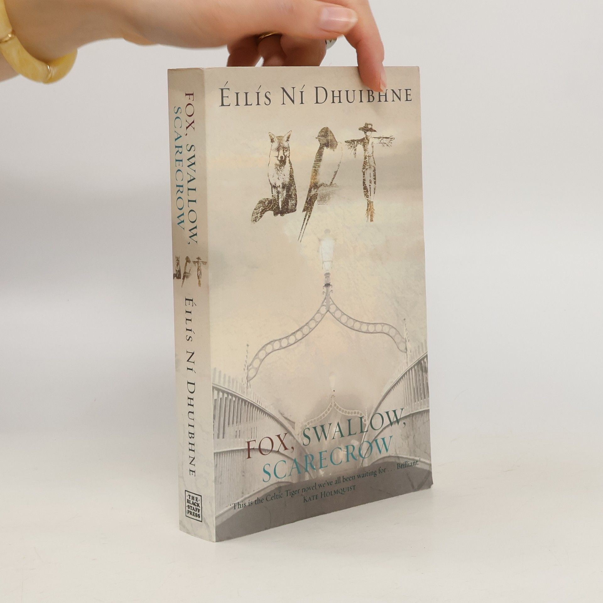 Éilís Ní Dhuibhne Fox, Swallow, Scarecrow