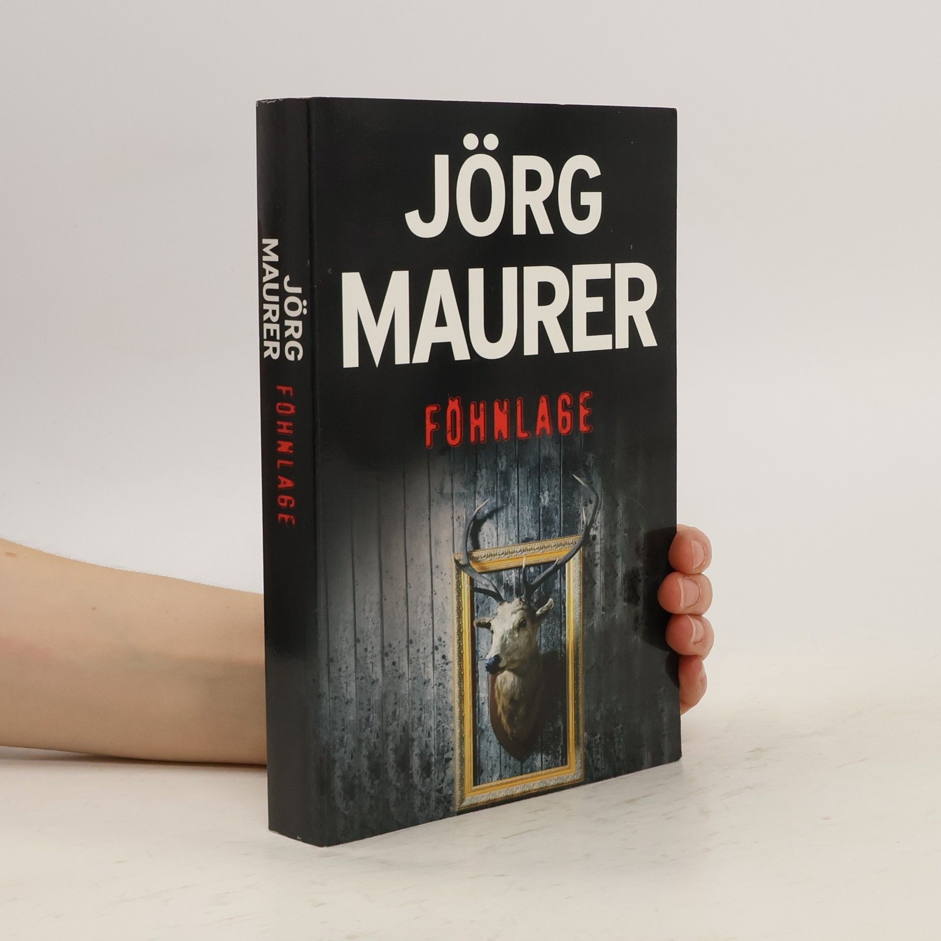 Jörg Maurer Föhnlage