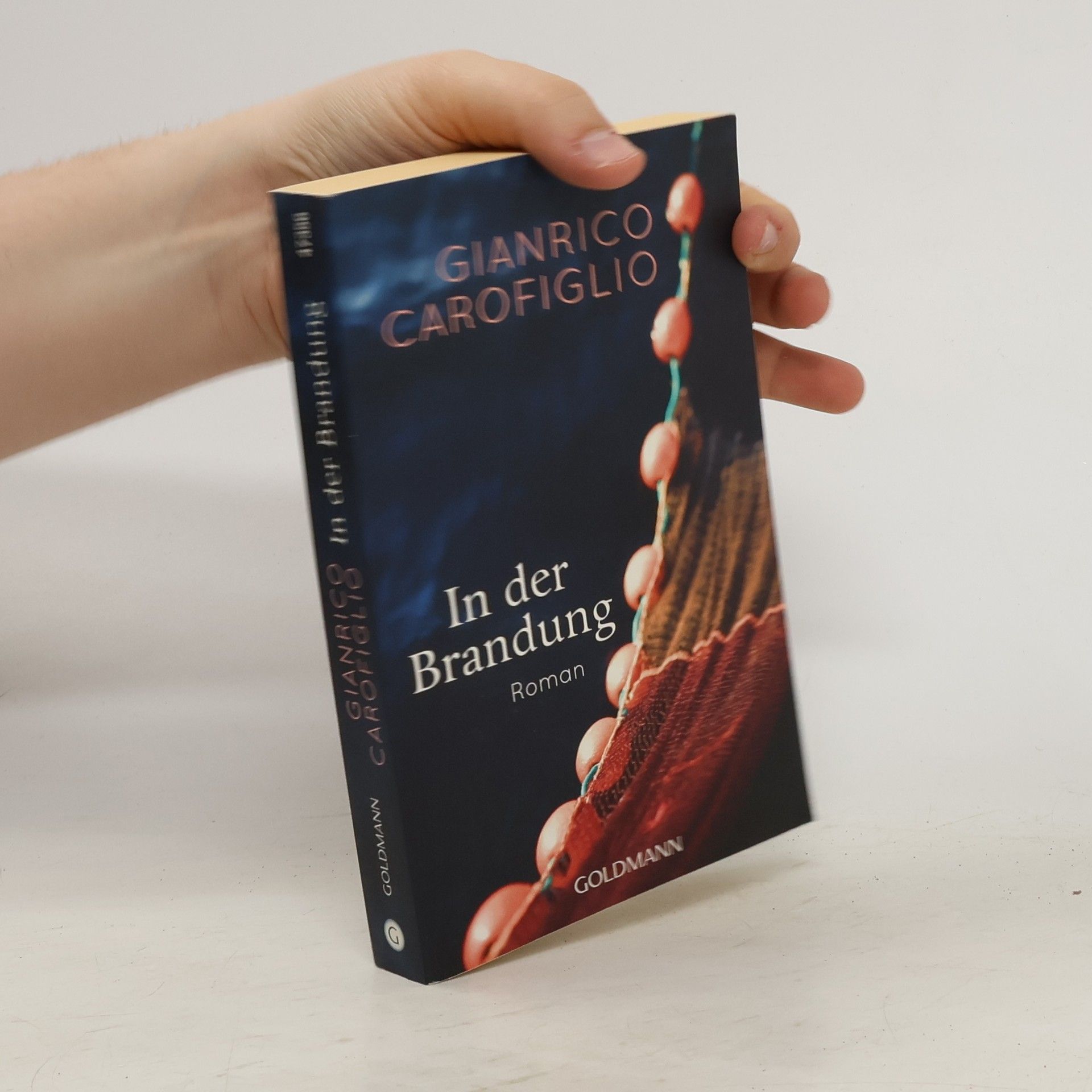 Gianrico Carofiglio In der Brandung - Roman