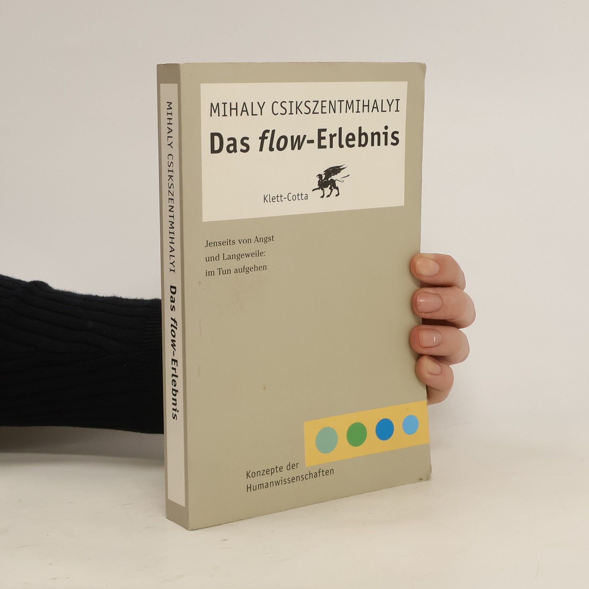 Mihaly Csikszentmihalyi Das Flow-Erlebnis