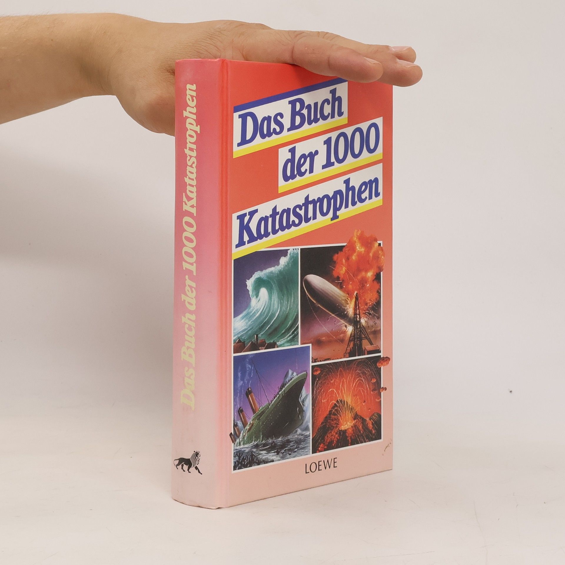 Kai Hövelmann Das Buch der 1000 Katastrophen