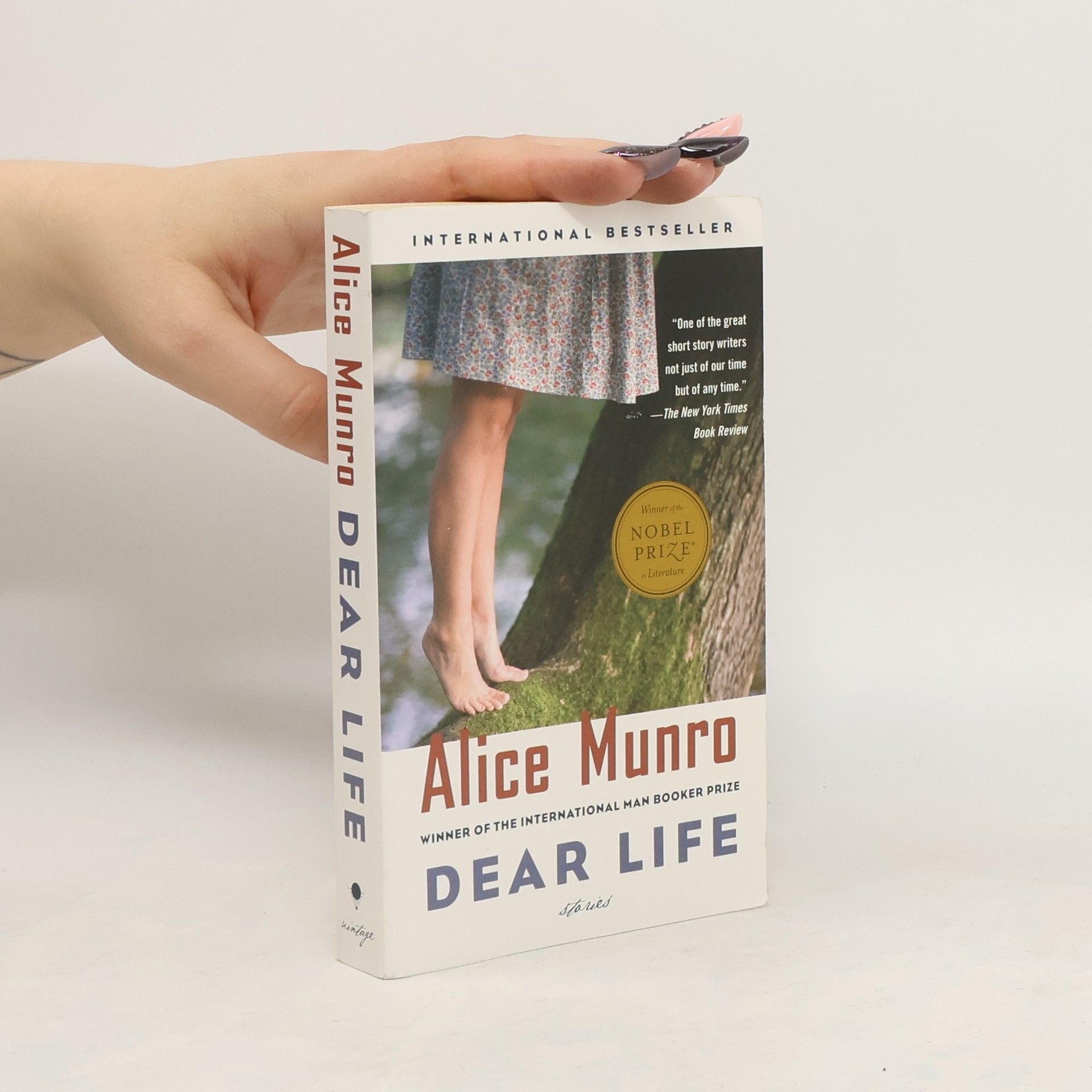 Alice Munro Dear Life