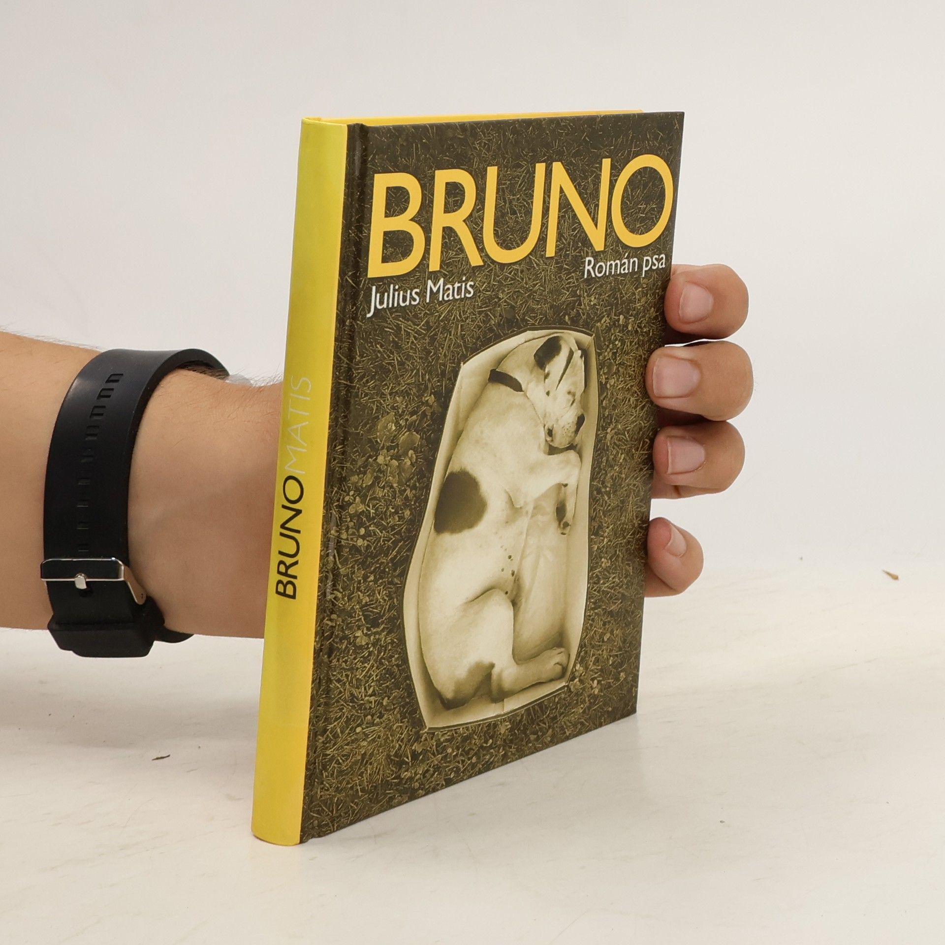 Julius Matis Bruno