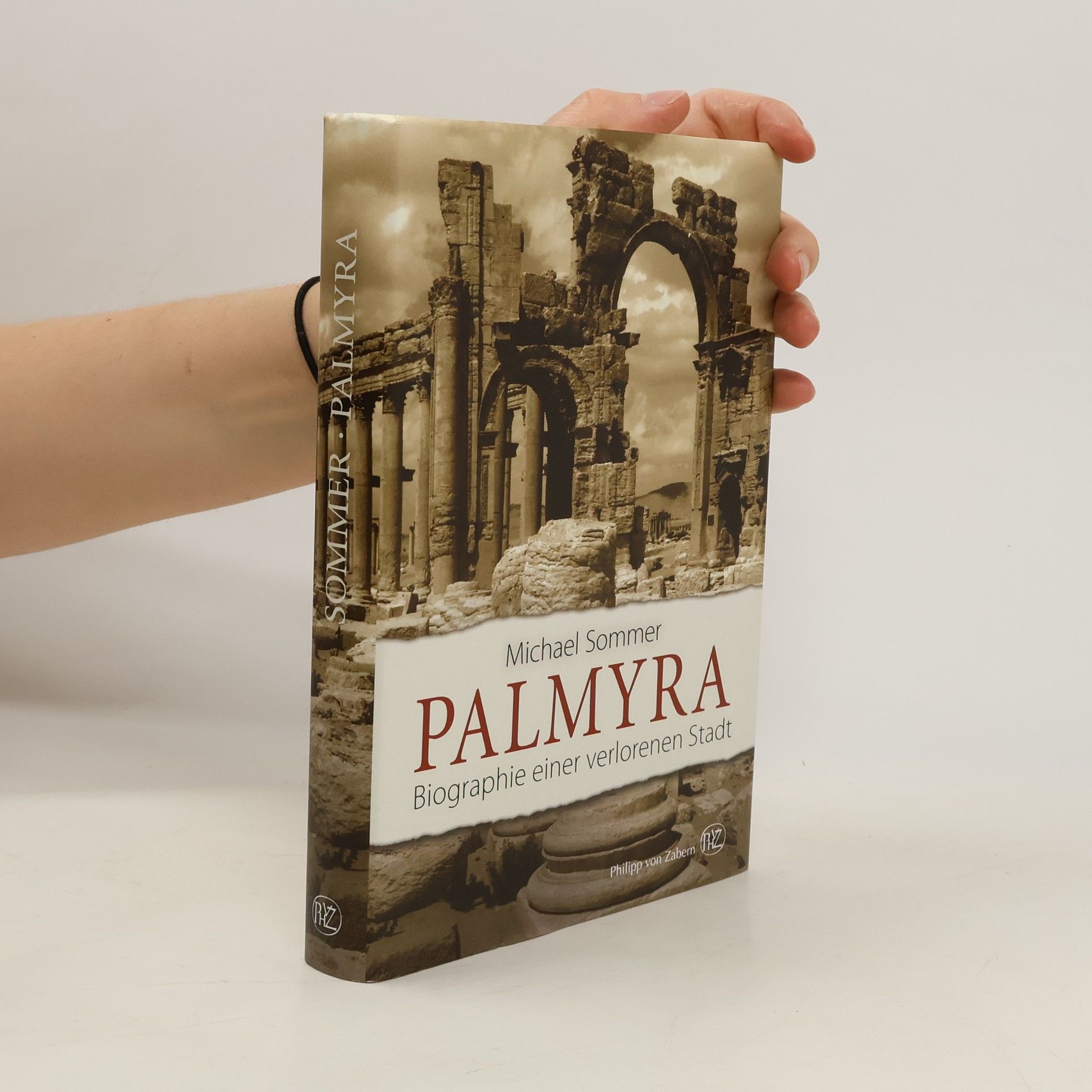 Michael Sommer Palmyra