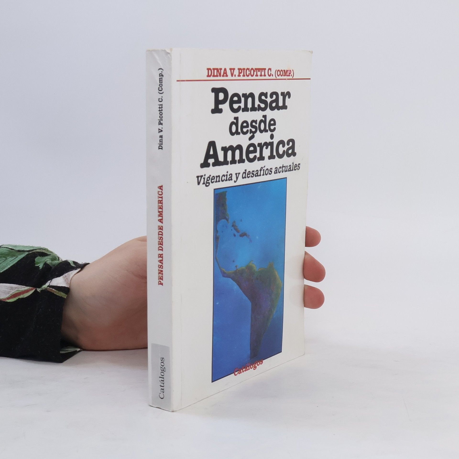 Dina V. Picotti C. Pensar desde América