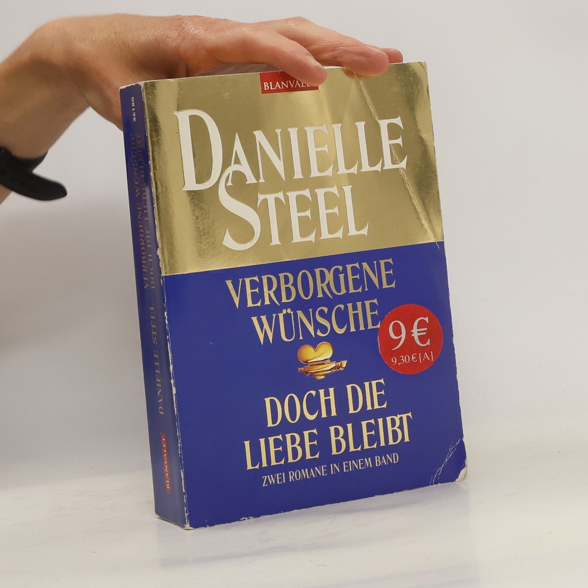 Danielle Steel Verborgene Wünsche