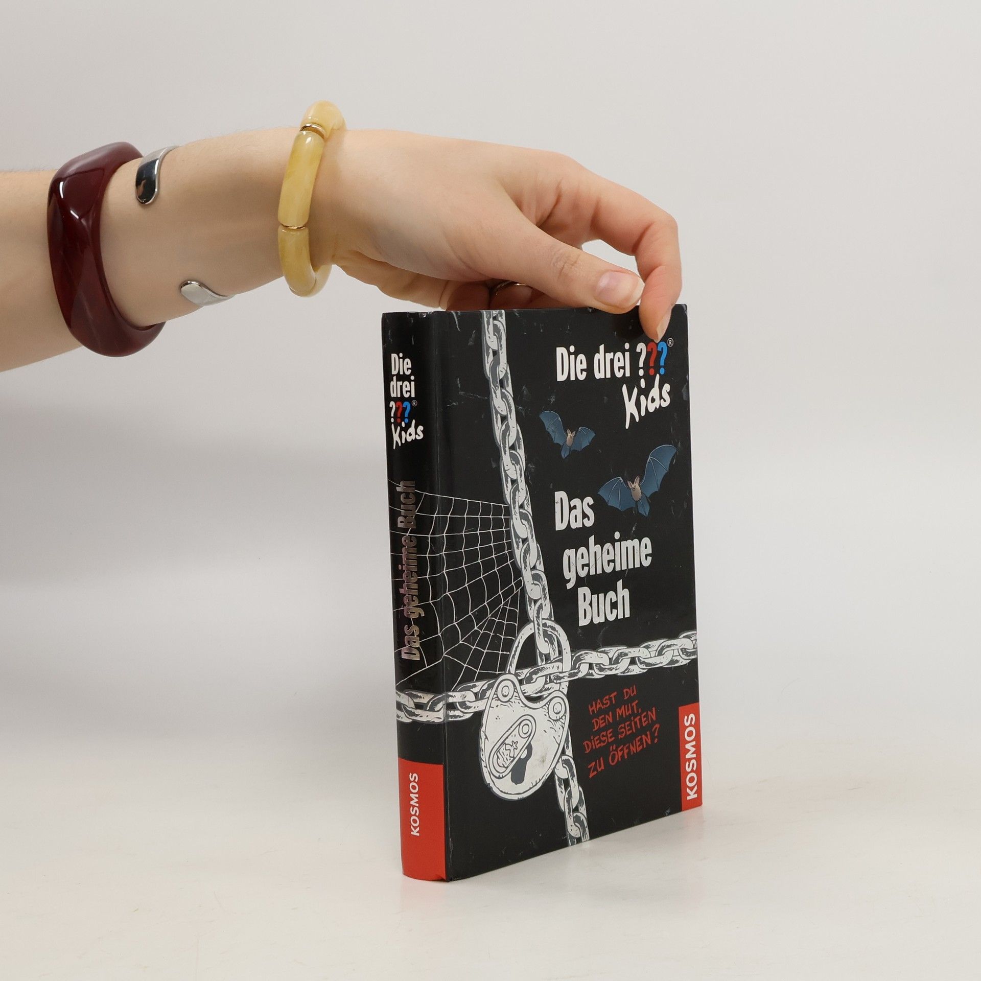 Ulf Blanck Das Geheime Buch
