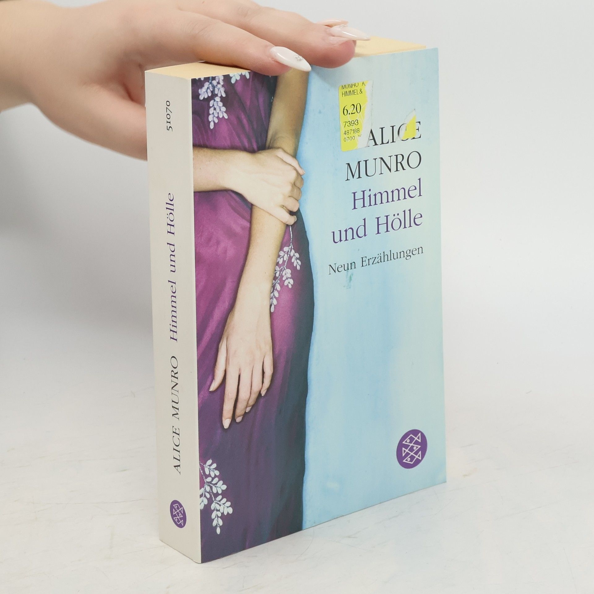 Alice Munro Himmel und Hölle