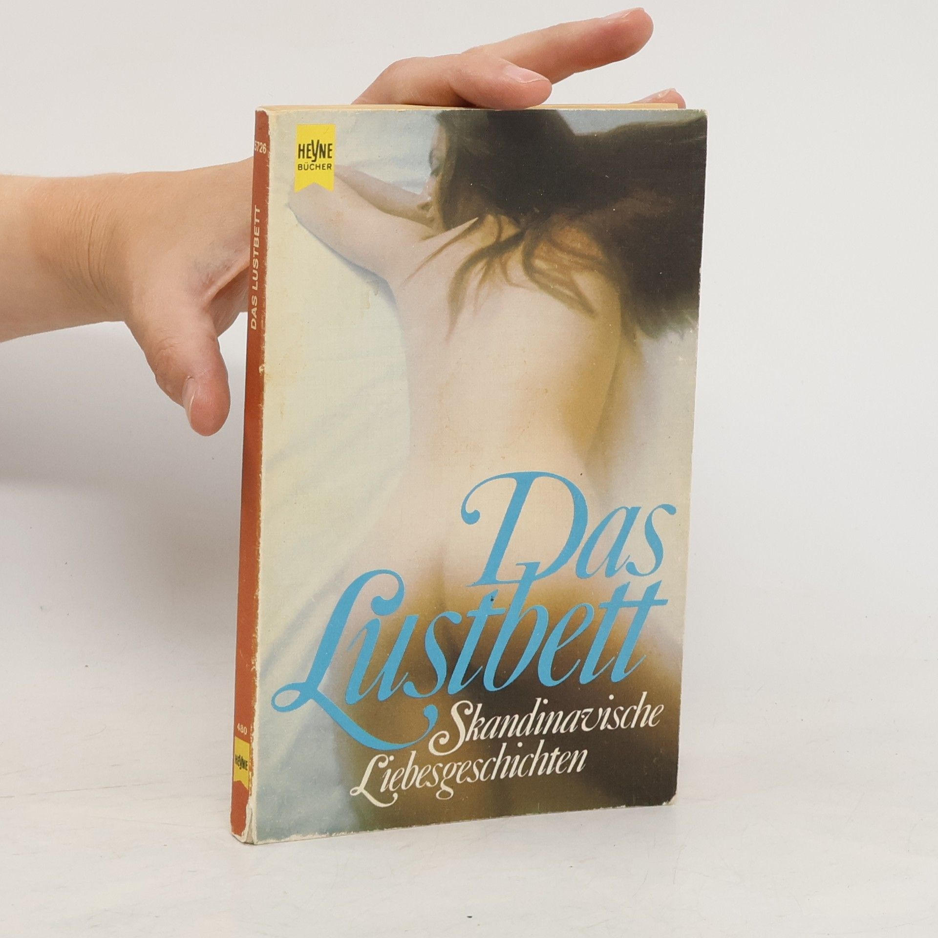 Kolektiv autorů Das Lustbett