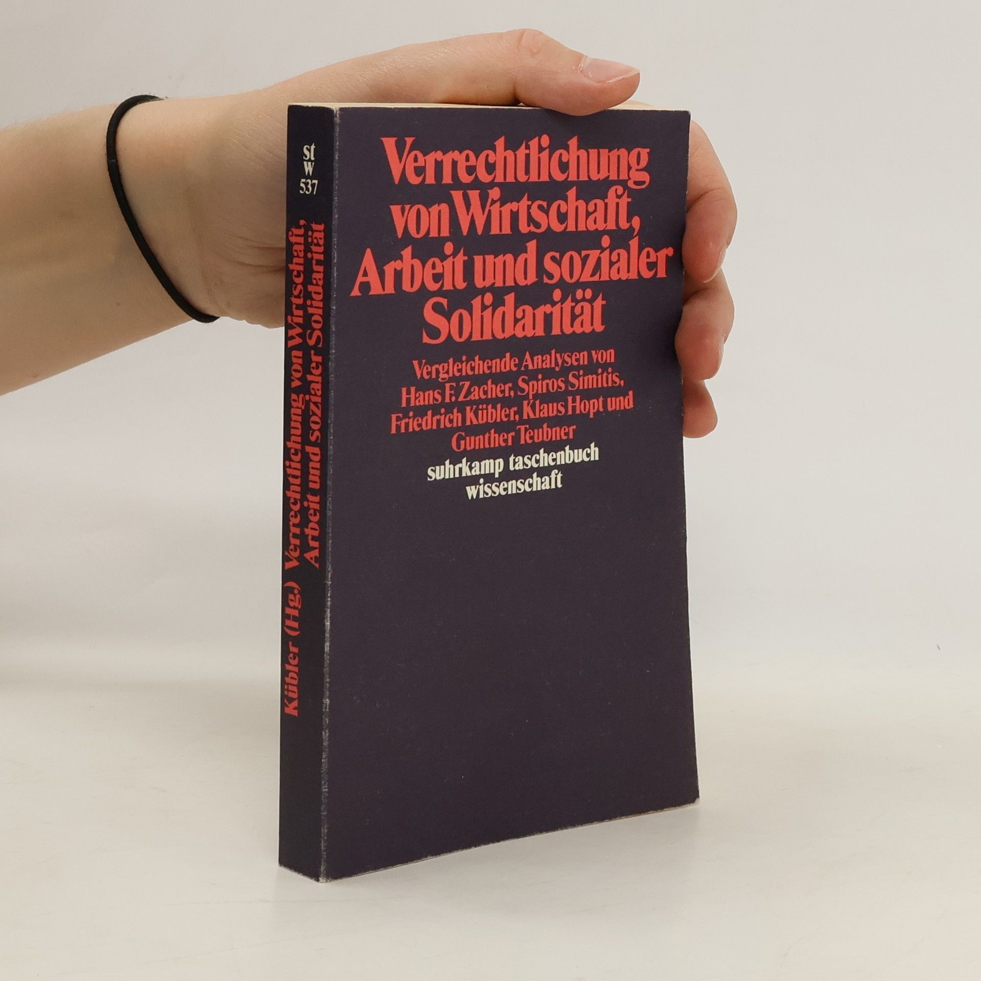 Friedrich Kübler Verrechtlichung von Wirtschaft, Arbeit und sozialer Solidarität