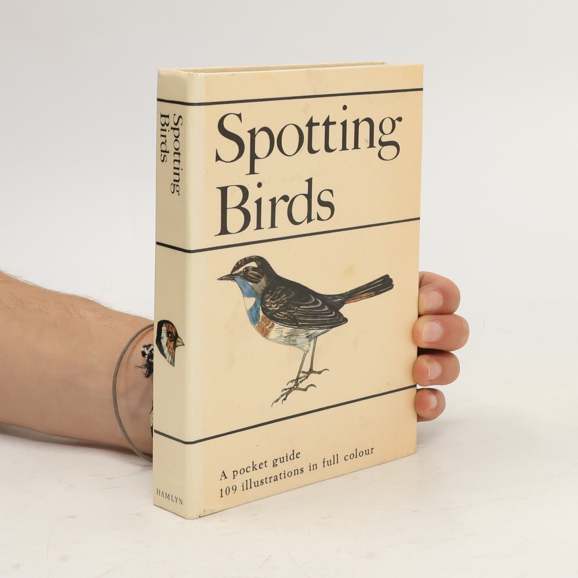 kolektiv Spotting Birds