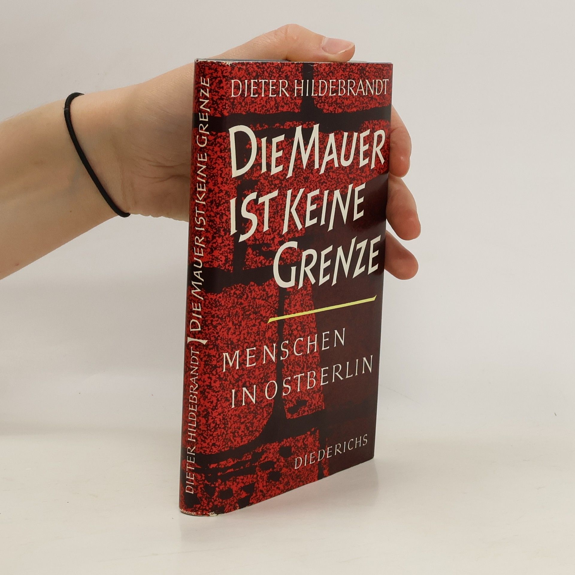 Dieter Hildebrandt Die Mauer ist keine Grenze