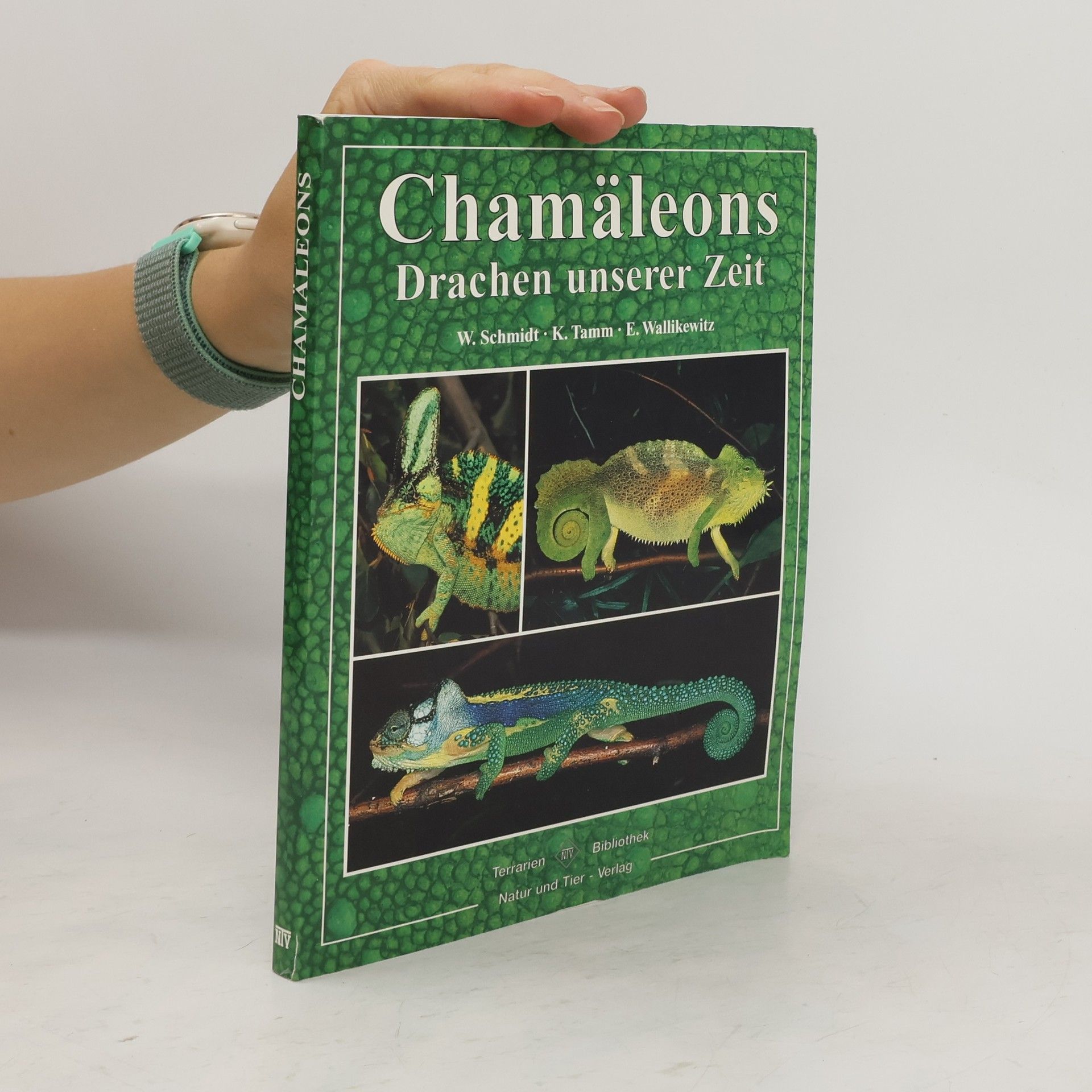 Wolfgang Schmidt-Sichermann Chamäleons