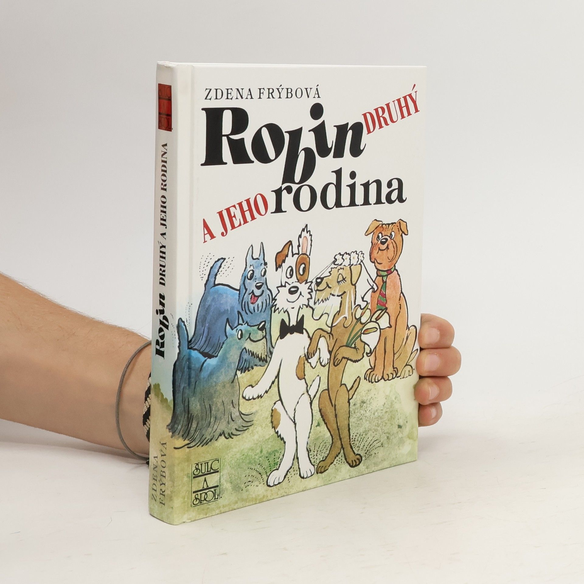 Zdena Frýbová Robin Druhý a jeho rodina