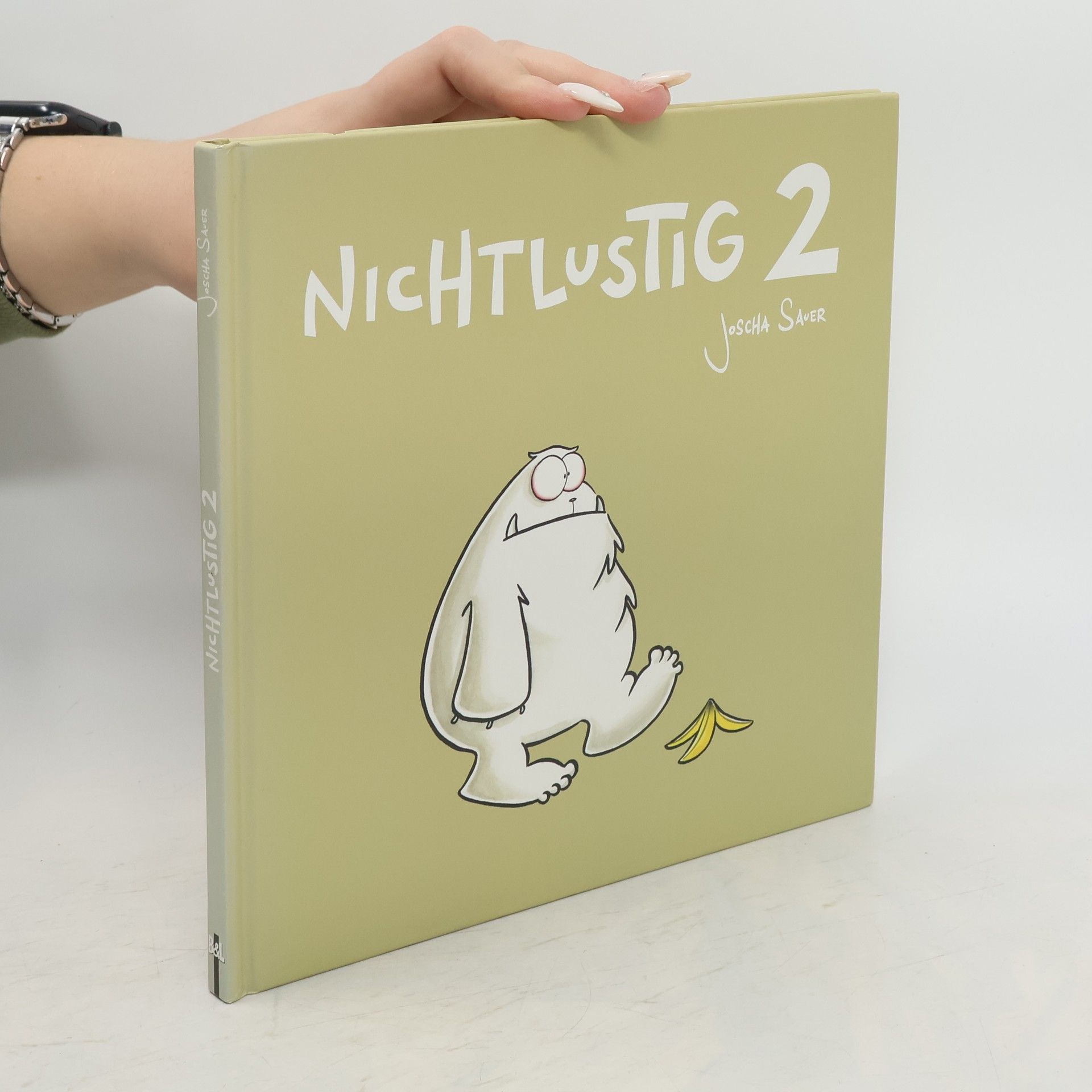Joscha Sauer Nichtlustig 2