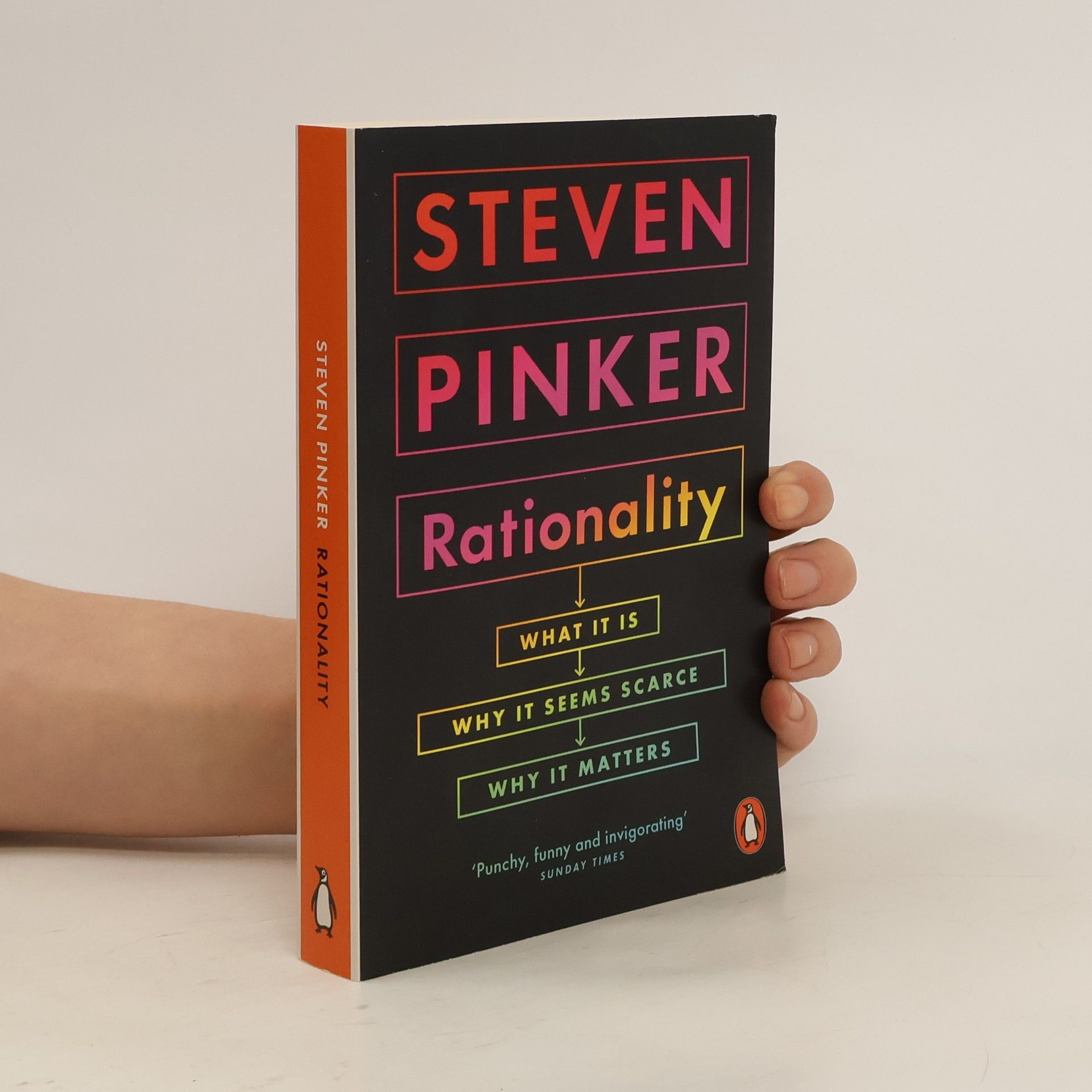 Steven Pinker Rationality