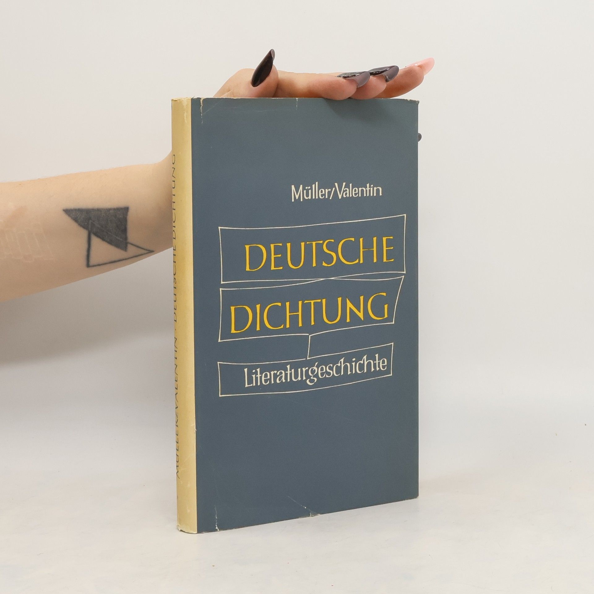 Friedrich Müller Deutsche Dichtung. Kleine Geschichte unserer Literatur