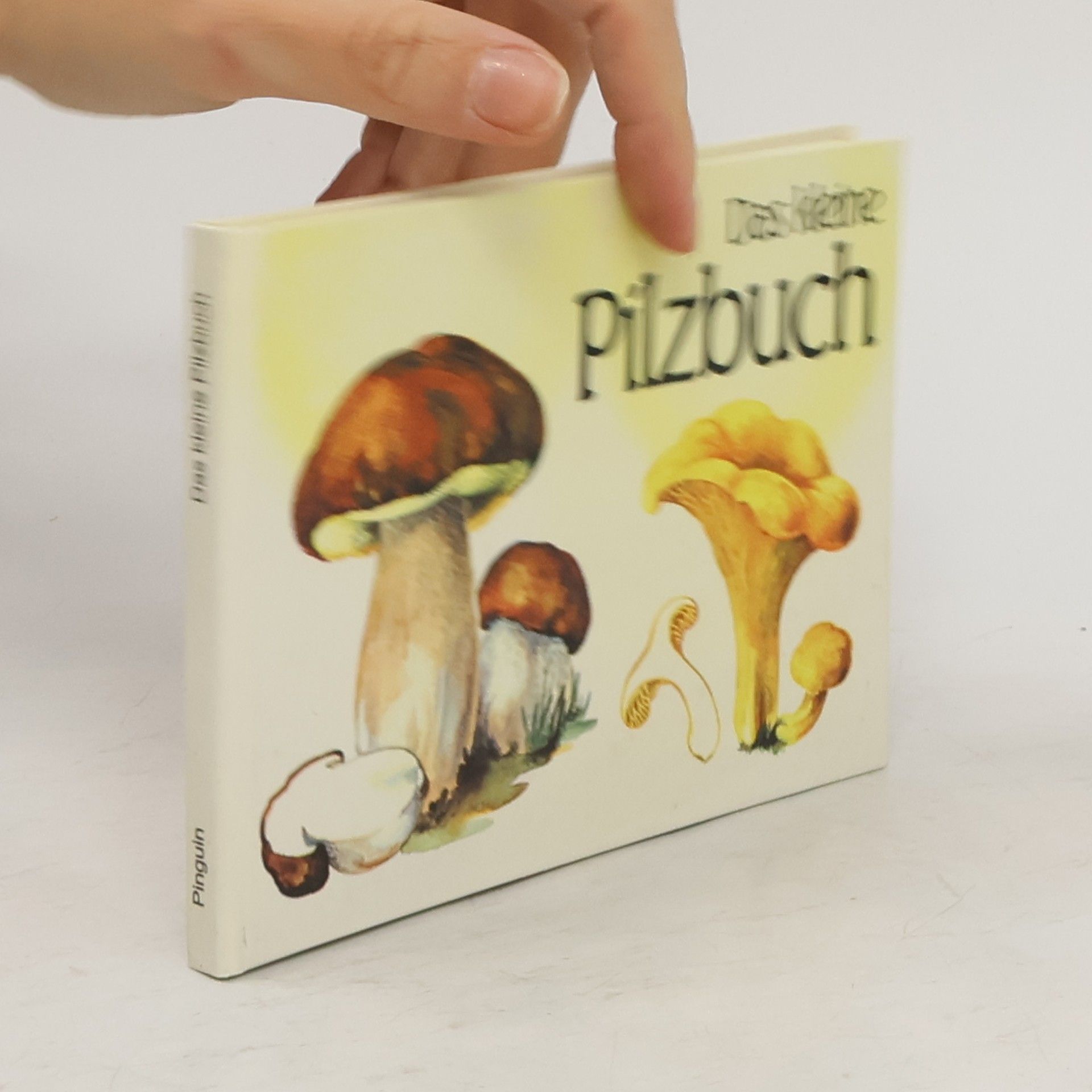 kolektiv Das kleine Pilzbuch