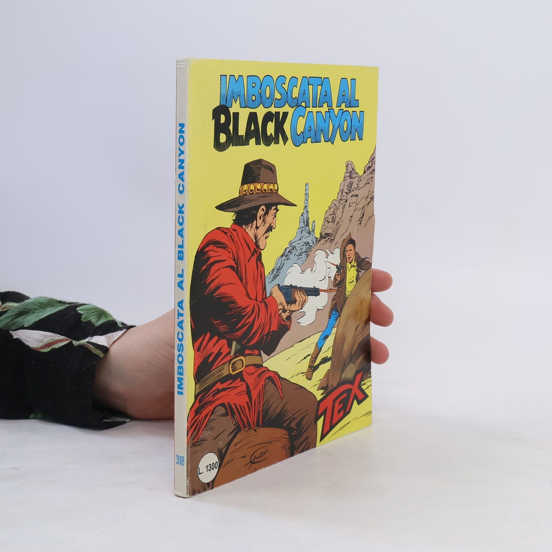 AA.VV. Imboscata al Black canyon, n. 318