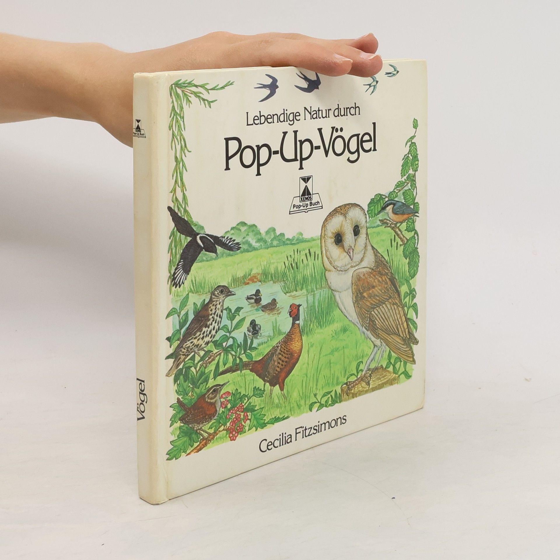 Cecilia Fitzsimons Lebendige Natur durch Pop-Up-Vögel