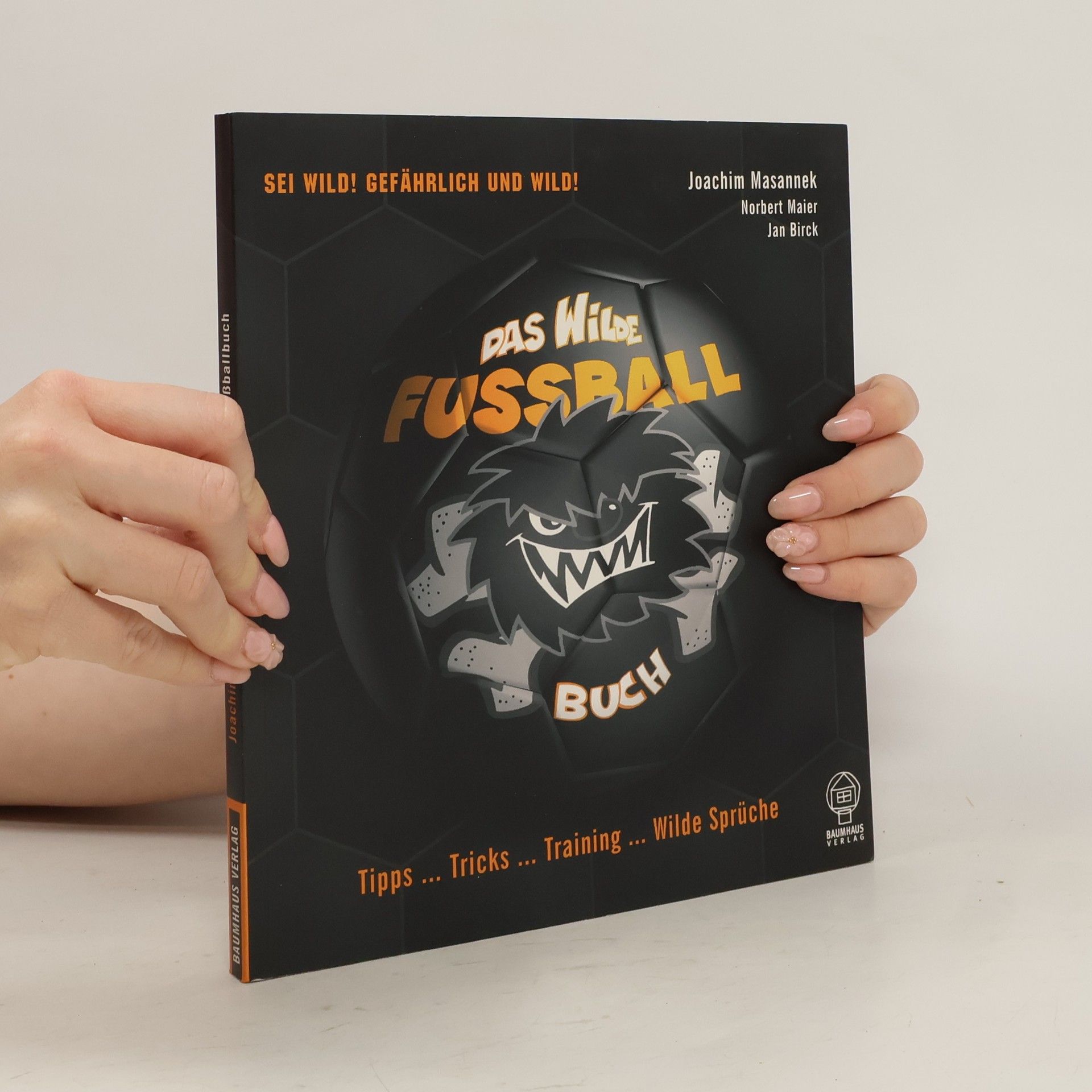 Joachim Masannek Das wilde Fußball-Buch