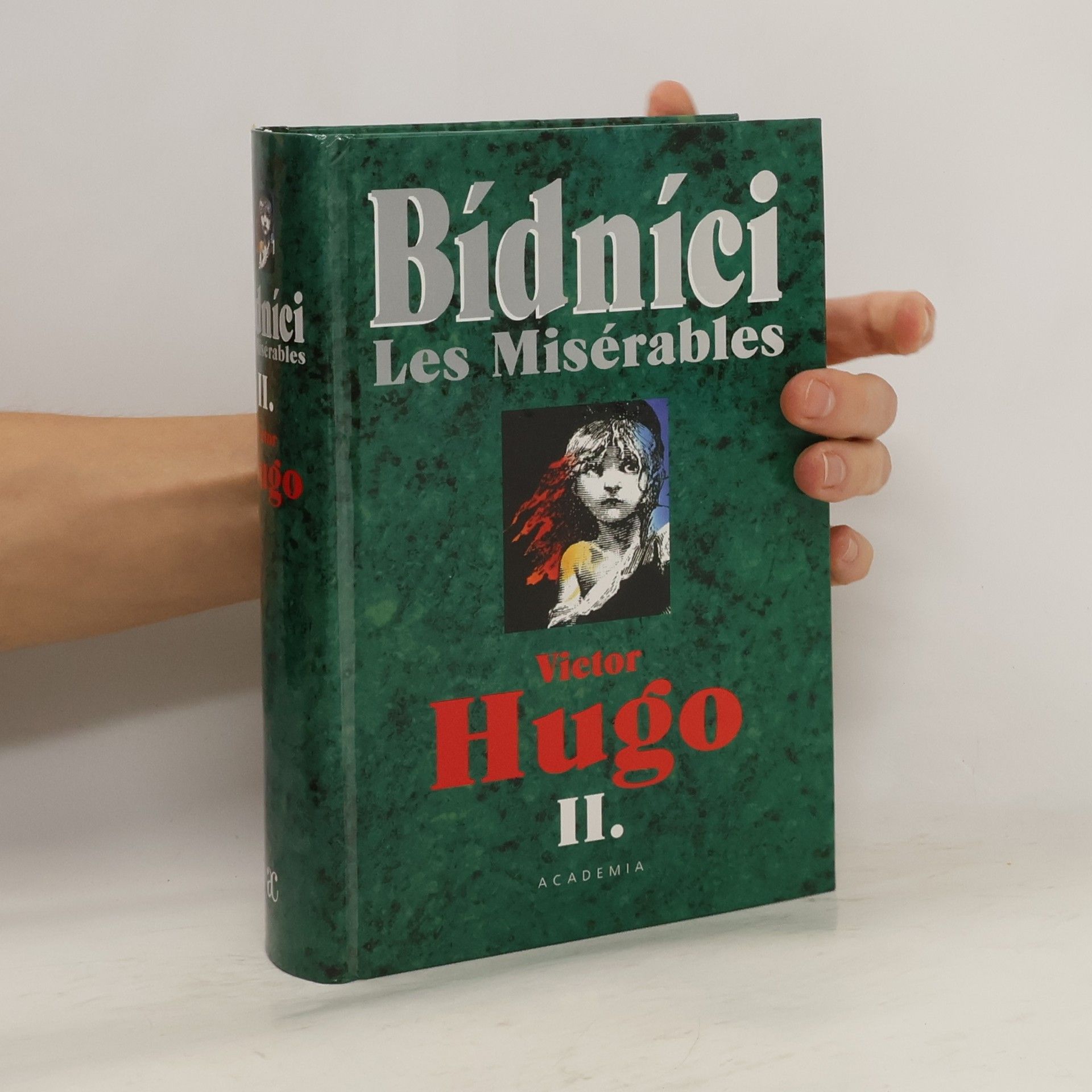 Victor Hugo Bidnici. Les Misérables II