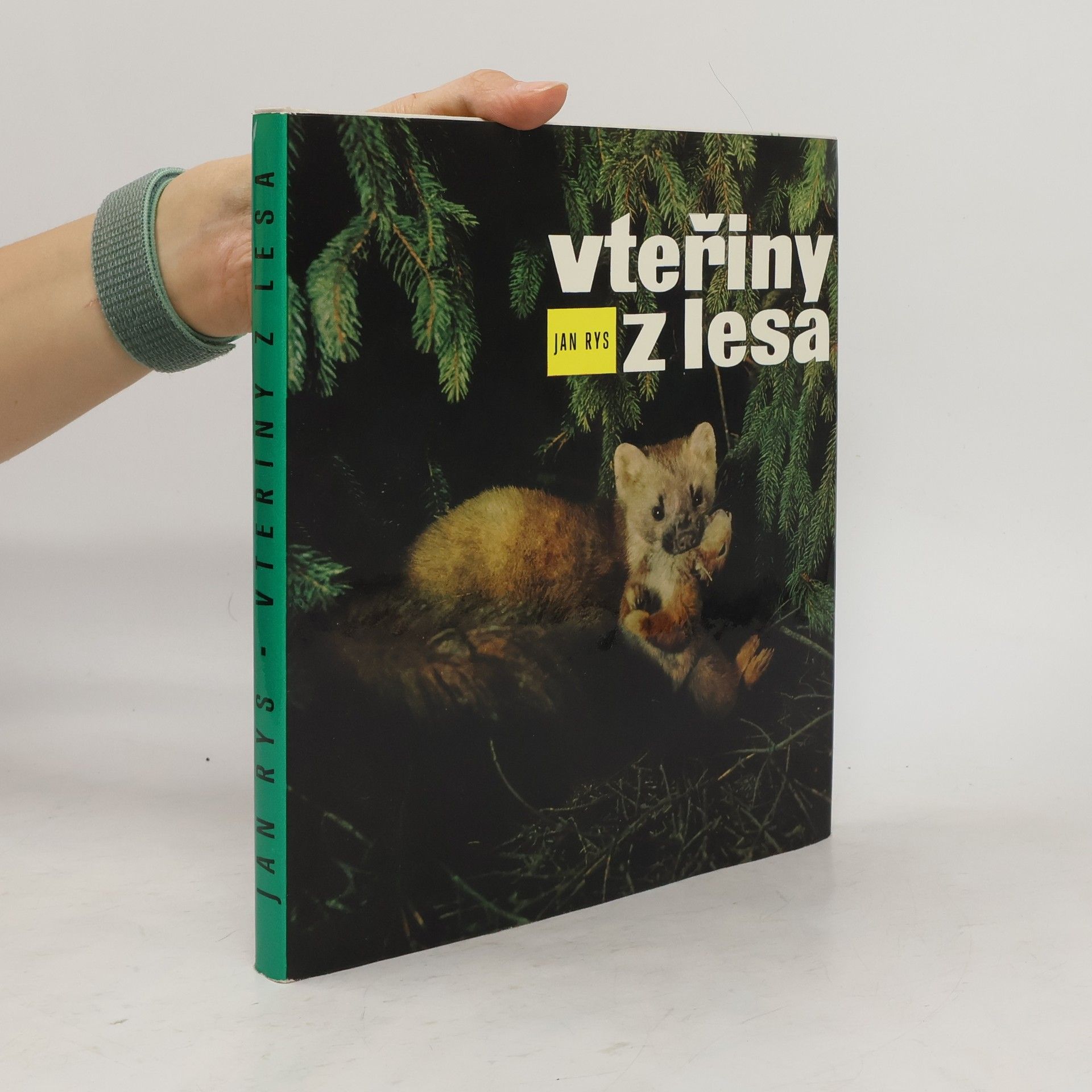 Jan Rys Vteřiny z lesa