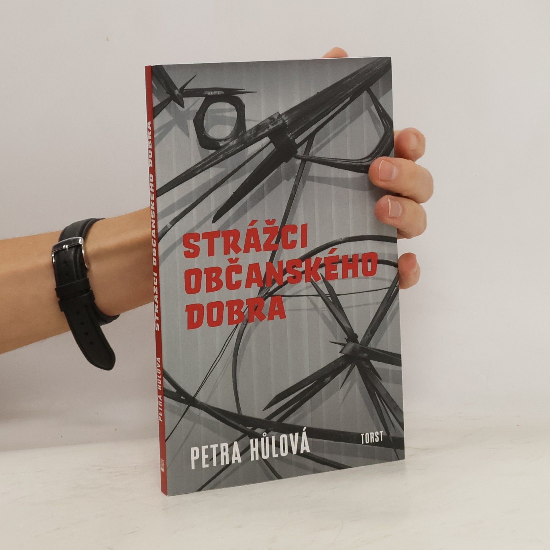 Petra Hůlová Strážci občanského dobra