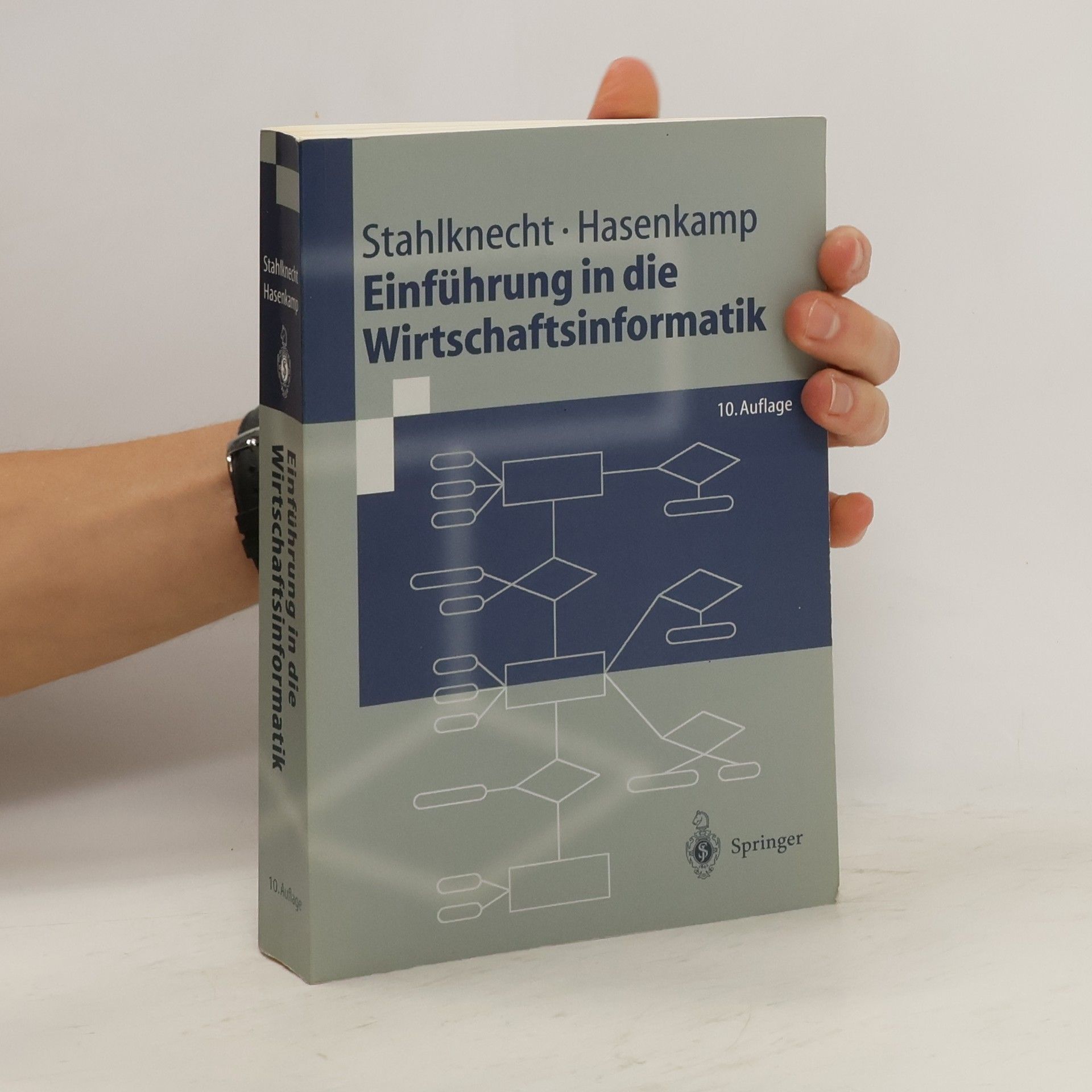 Peter Stahlknecht Einführung in die Wirtschaftsinformatik