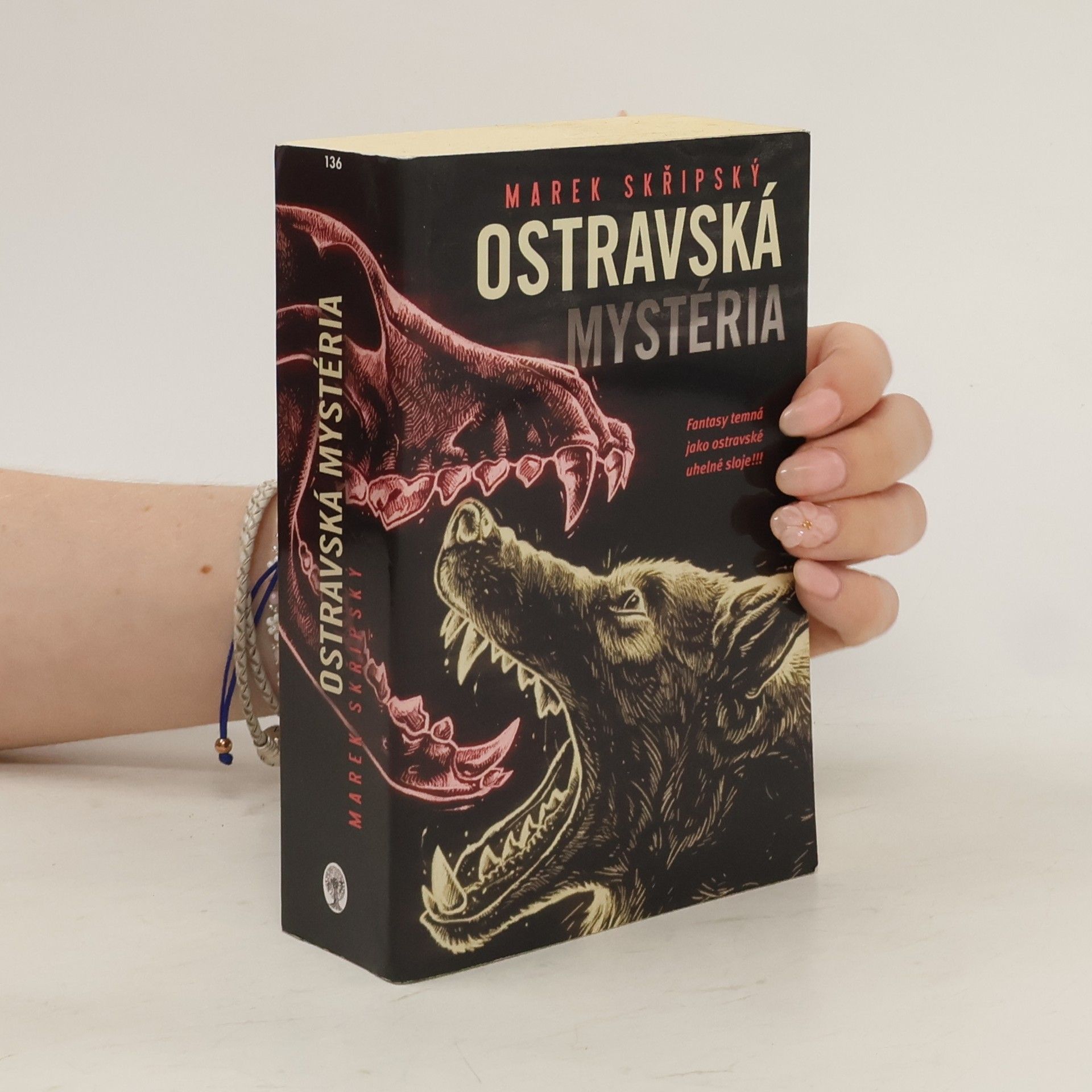 Marek Skřipský Ostravská mystéria