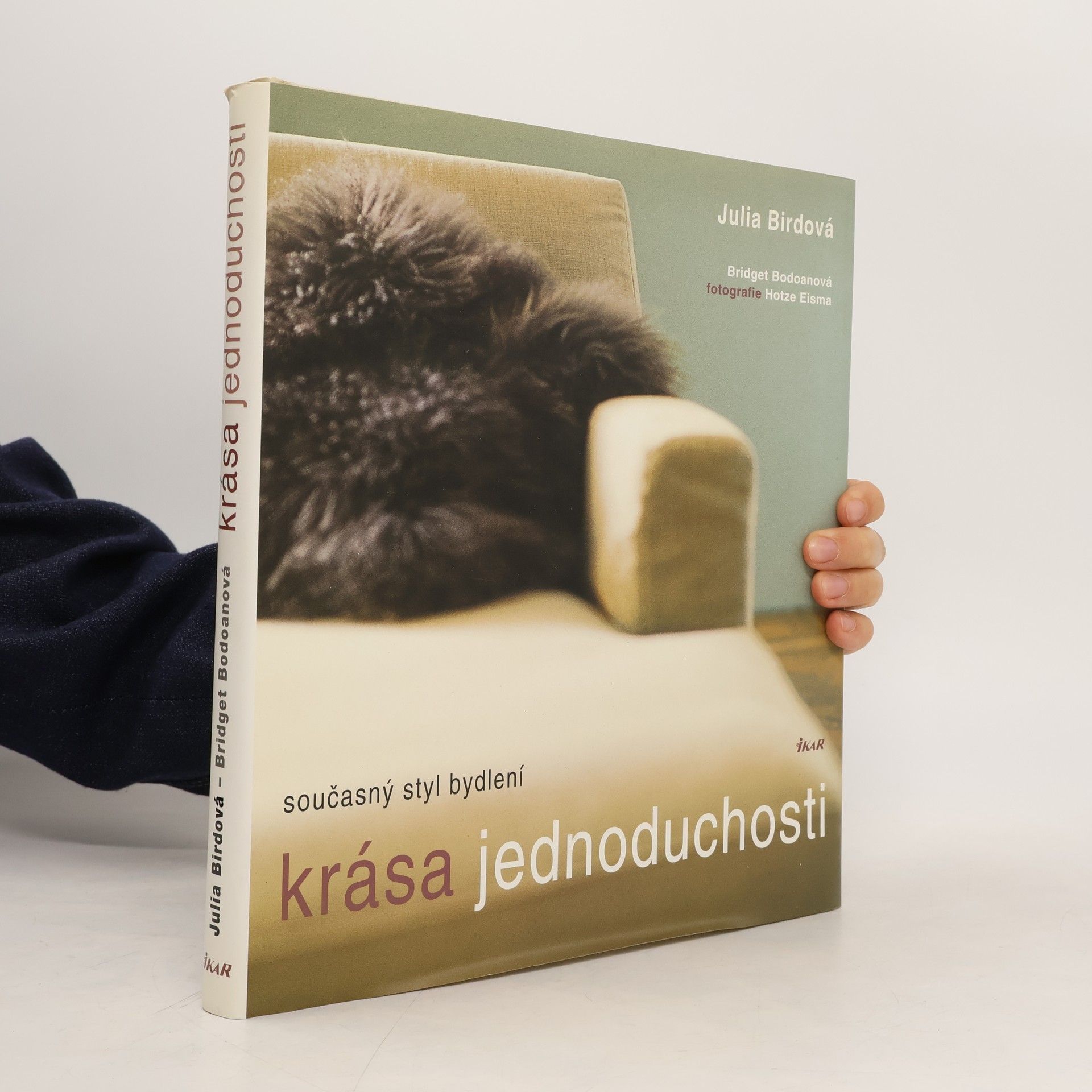 Julia Bird Krása jednoduchosti : současný styl bydlení