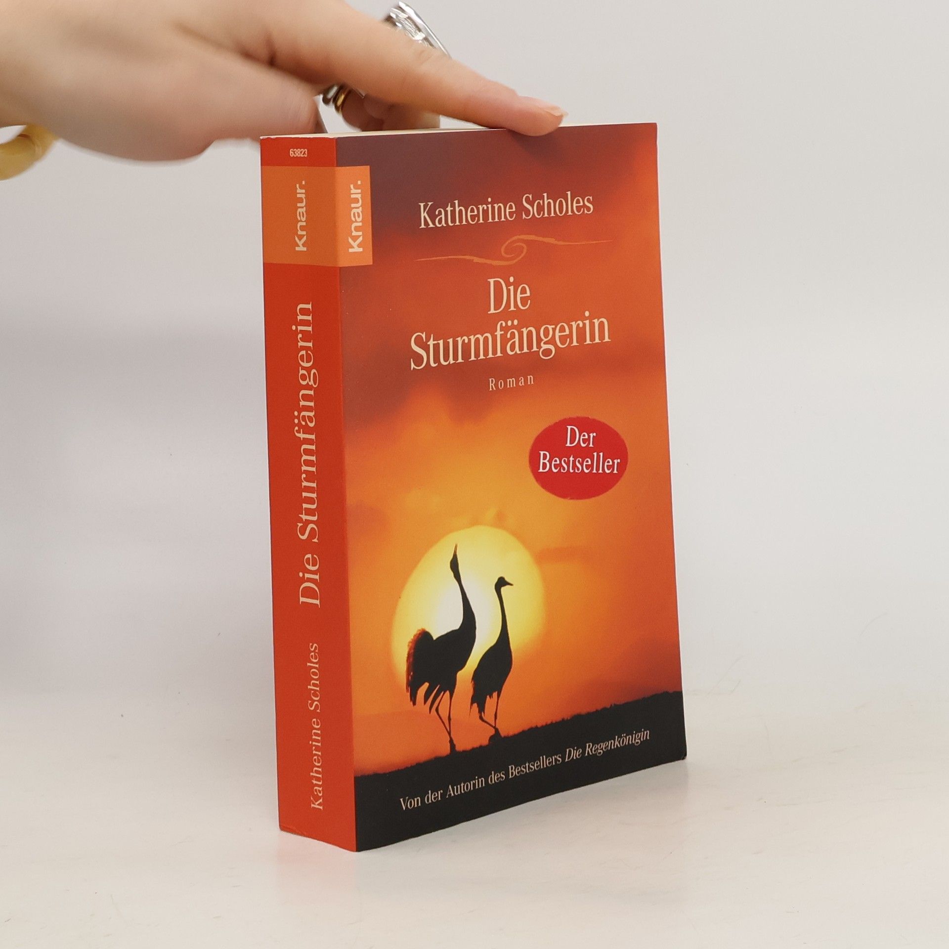 Katherine Scholes Die Sturmfängerin