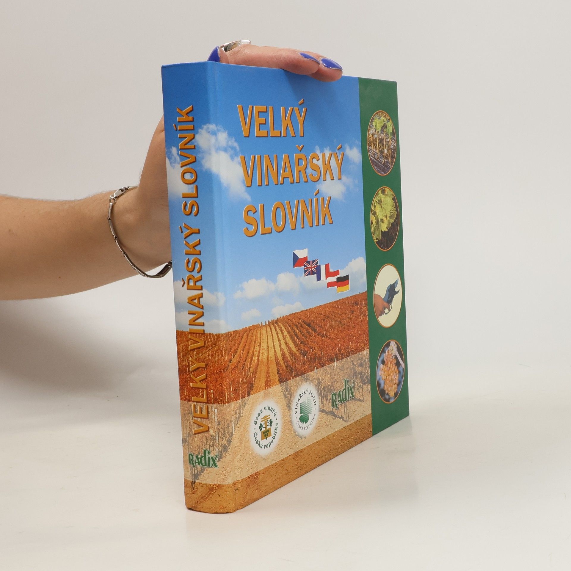 Velký vinařský slovník