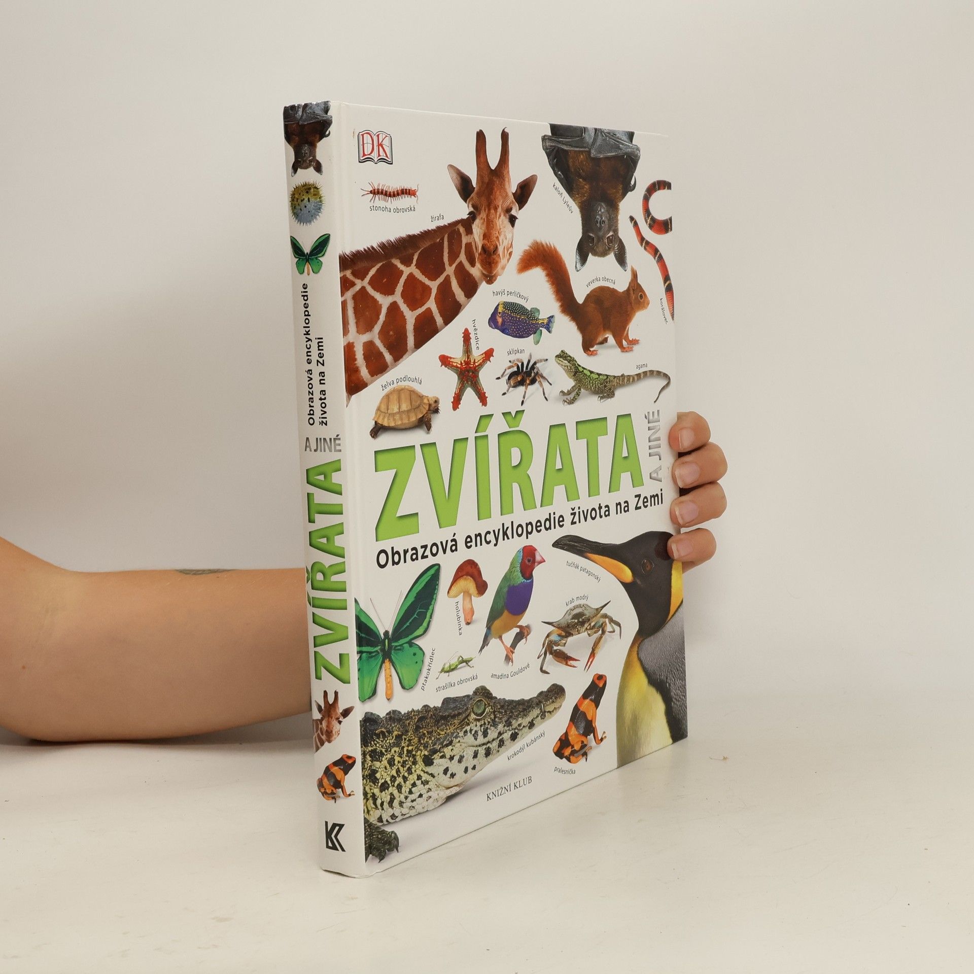 AA.VV. Zvířata a jiné. Obrazová encyklopedie života na Zemi