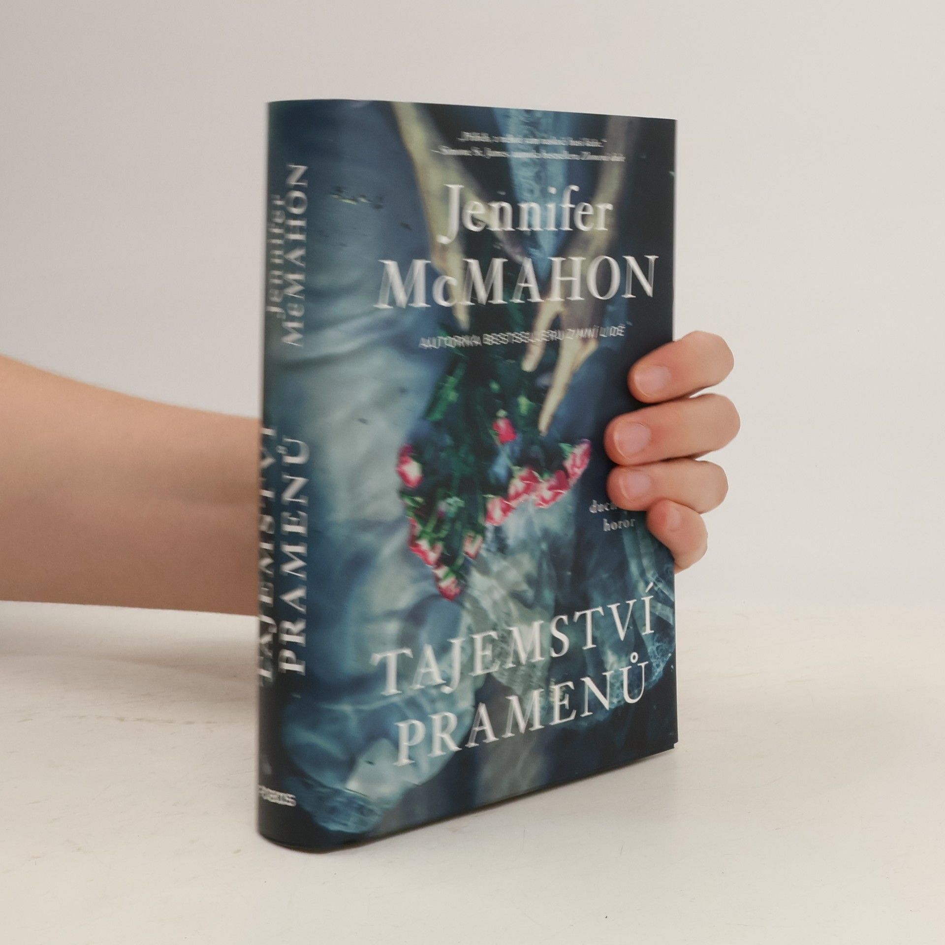 Jennifer McMahon Tajemství pramenů
