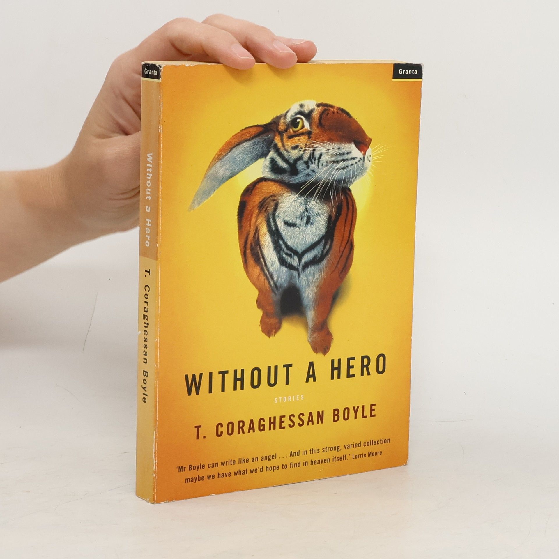 T. Coraghessan Boyle Without a Hero