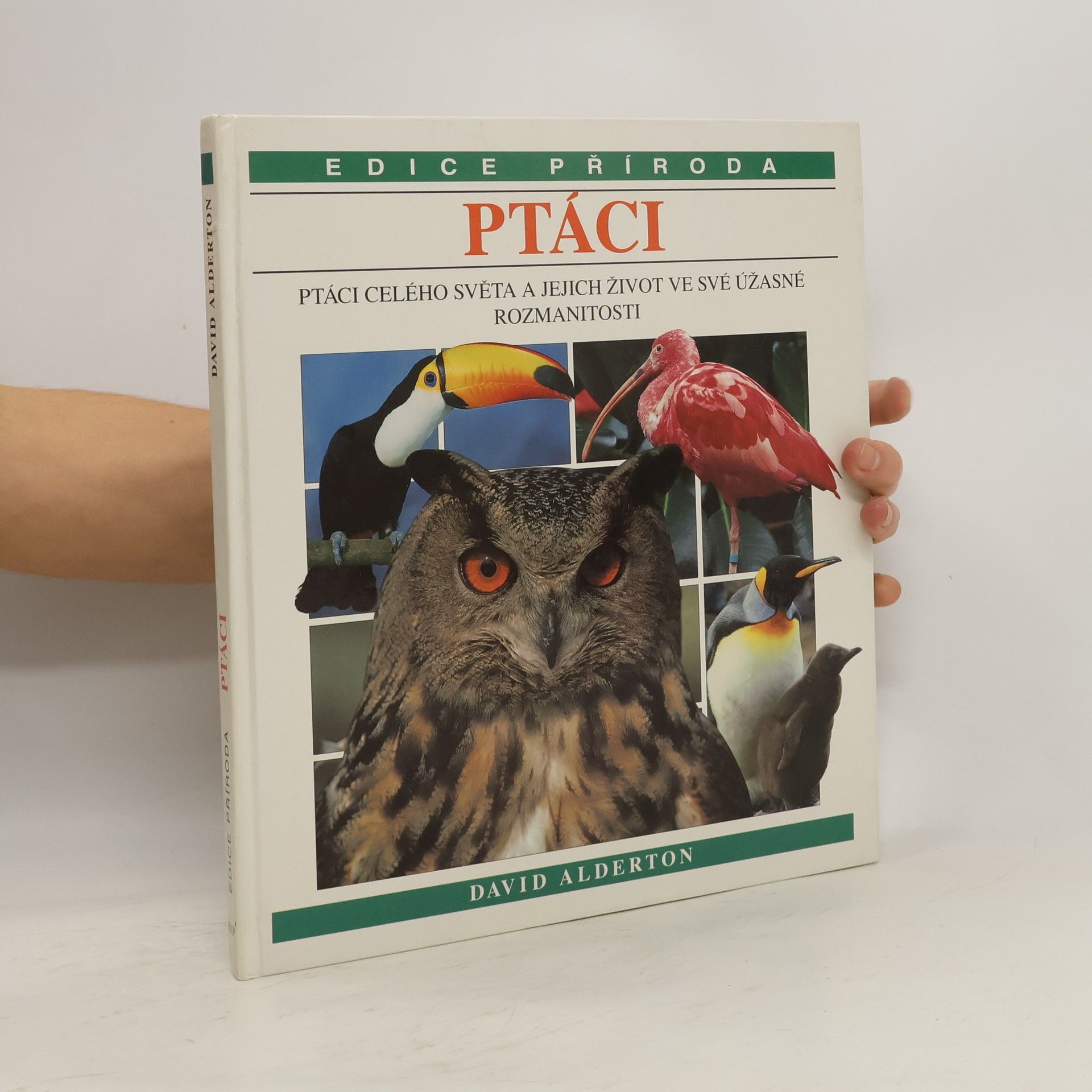 David Alderton Ptáci
