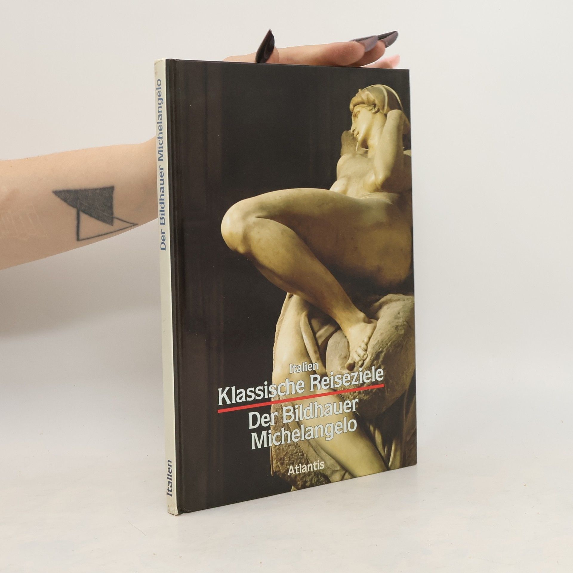 Michelangelo Der Bildhauer Michelangelo