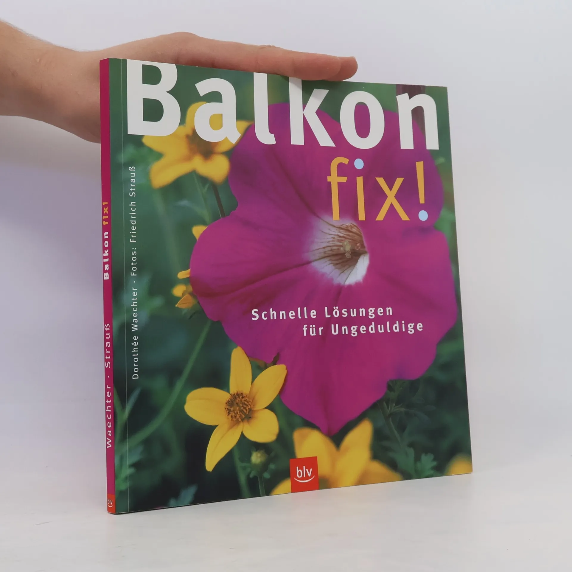 Balkon fix! | Boek | Dorothée Waechter | DE