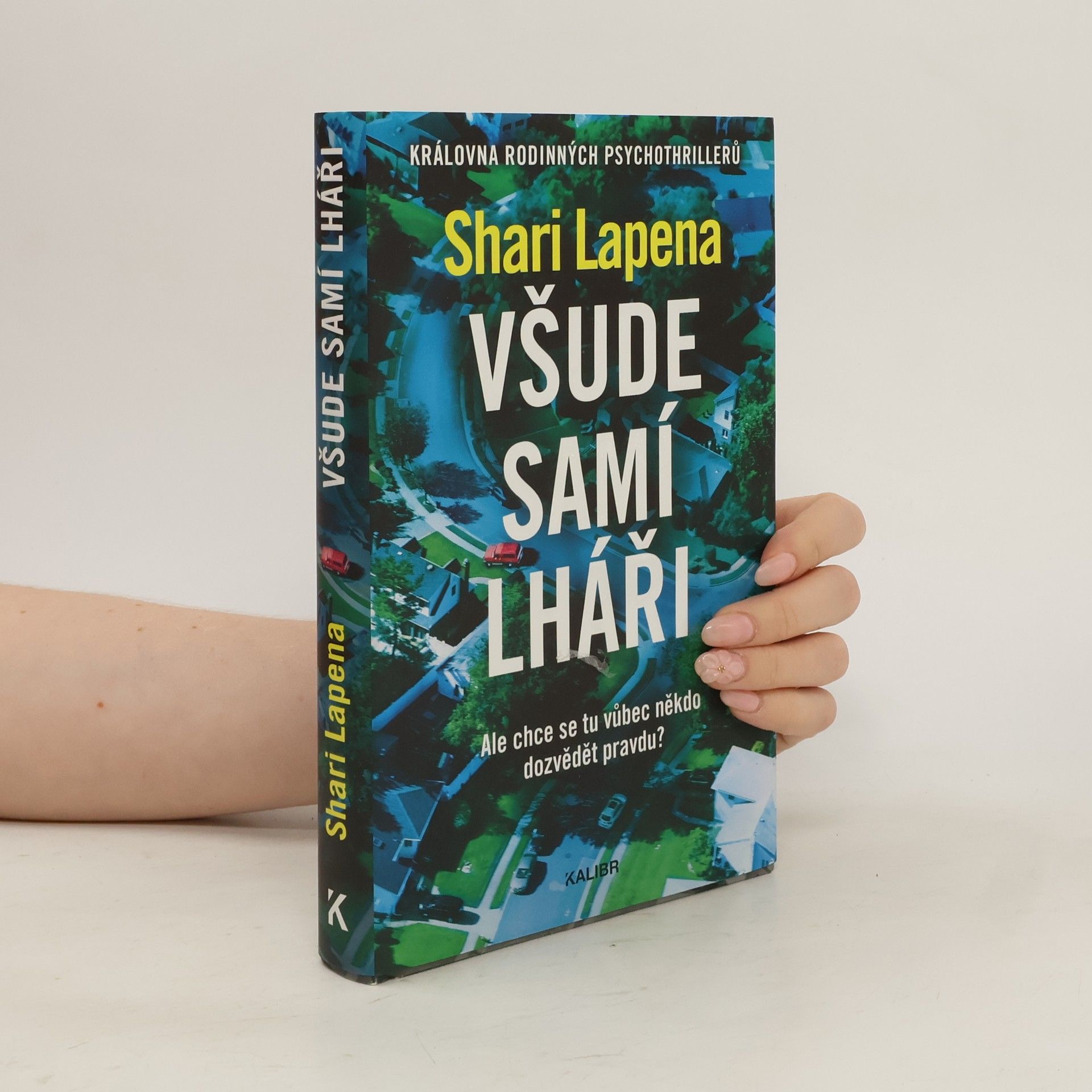 Shari Lapena Všude samí lháři