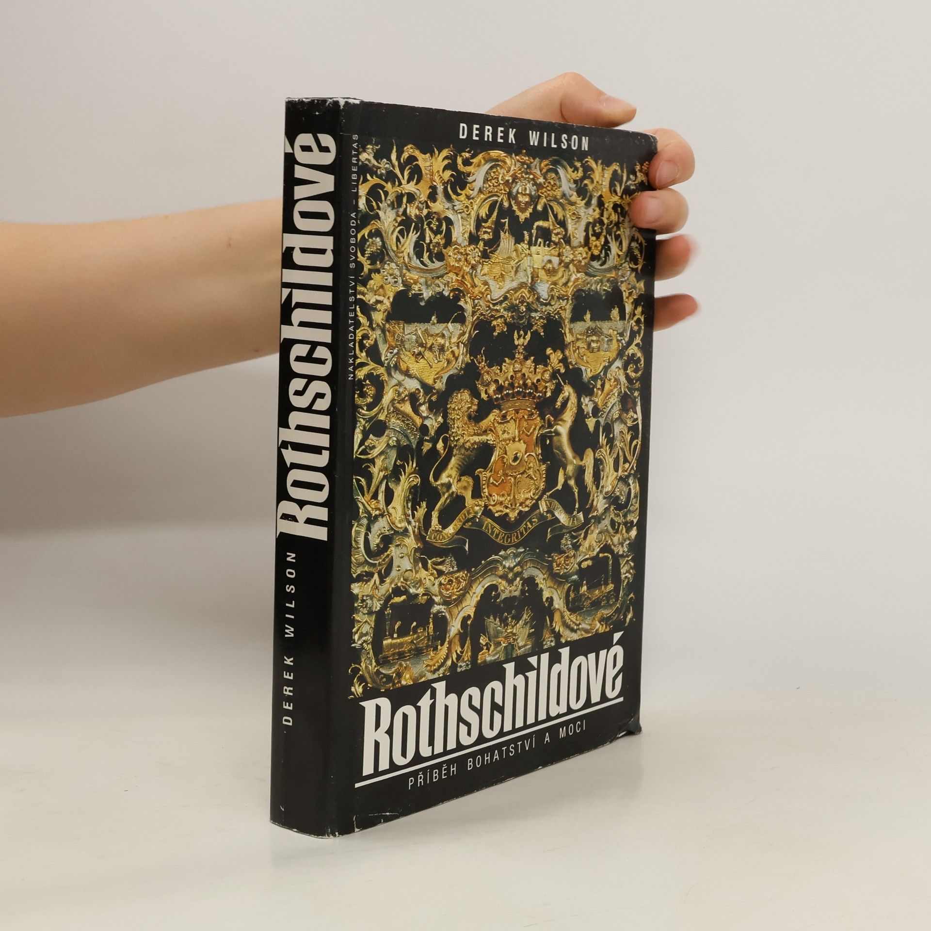 Derek Wilson Rothschildové. Příběh bohatství a moci