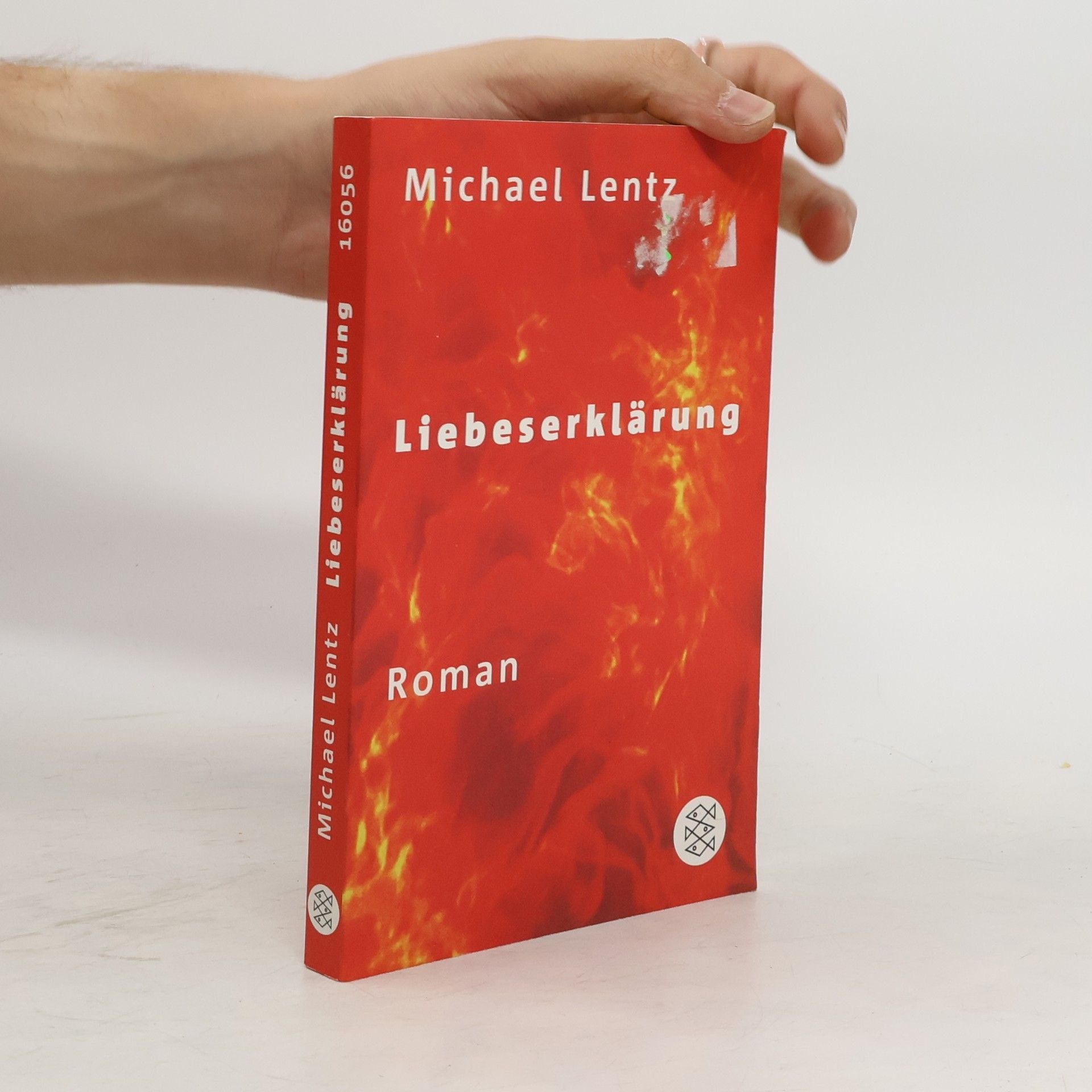 Michael Lentz Liebeserklärung